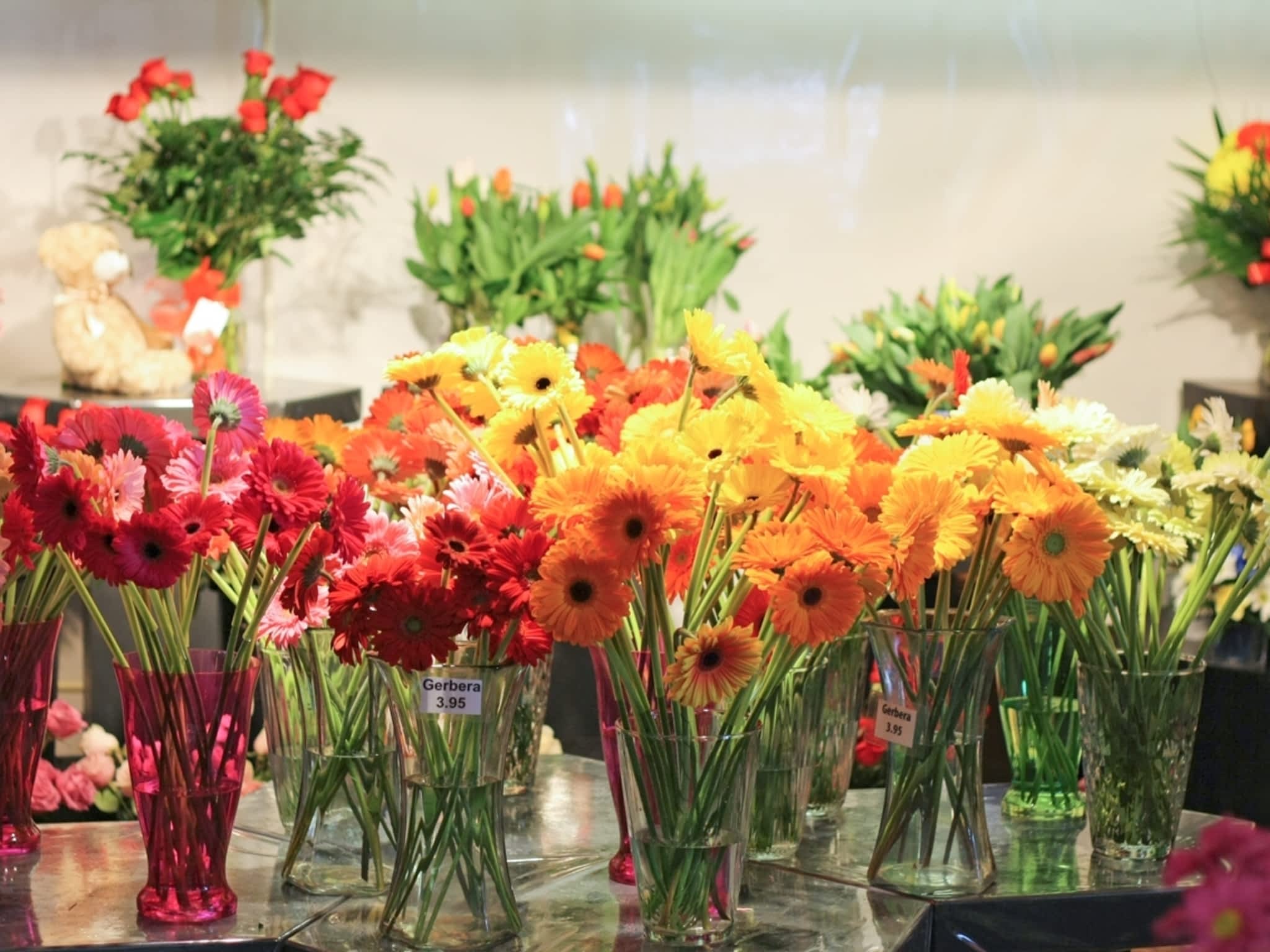 Terrafolia Flowers DollarddesOrmeaux, QC 3375, boul des Sources