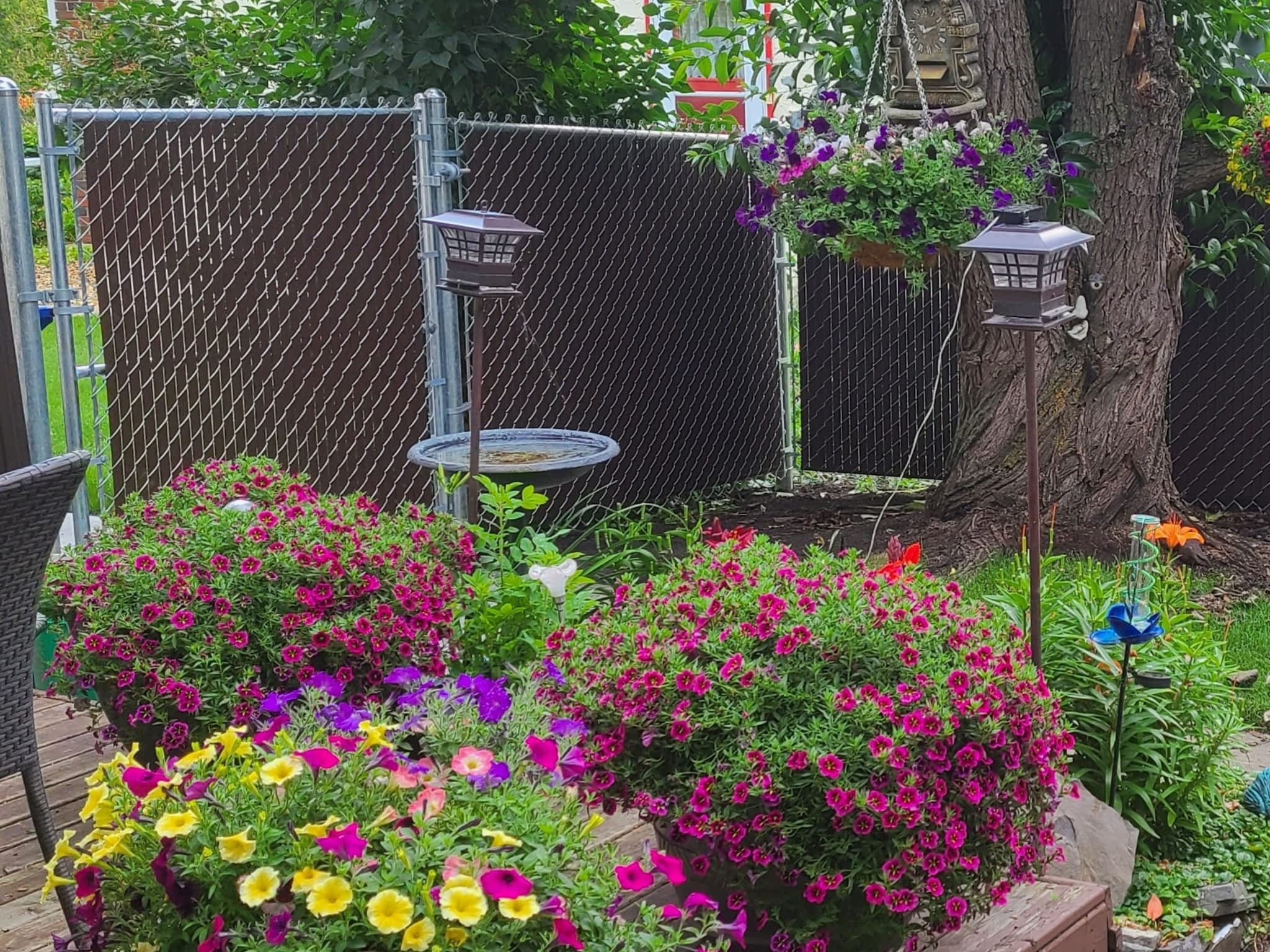 photo Kustom Contracting Ltd