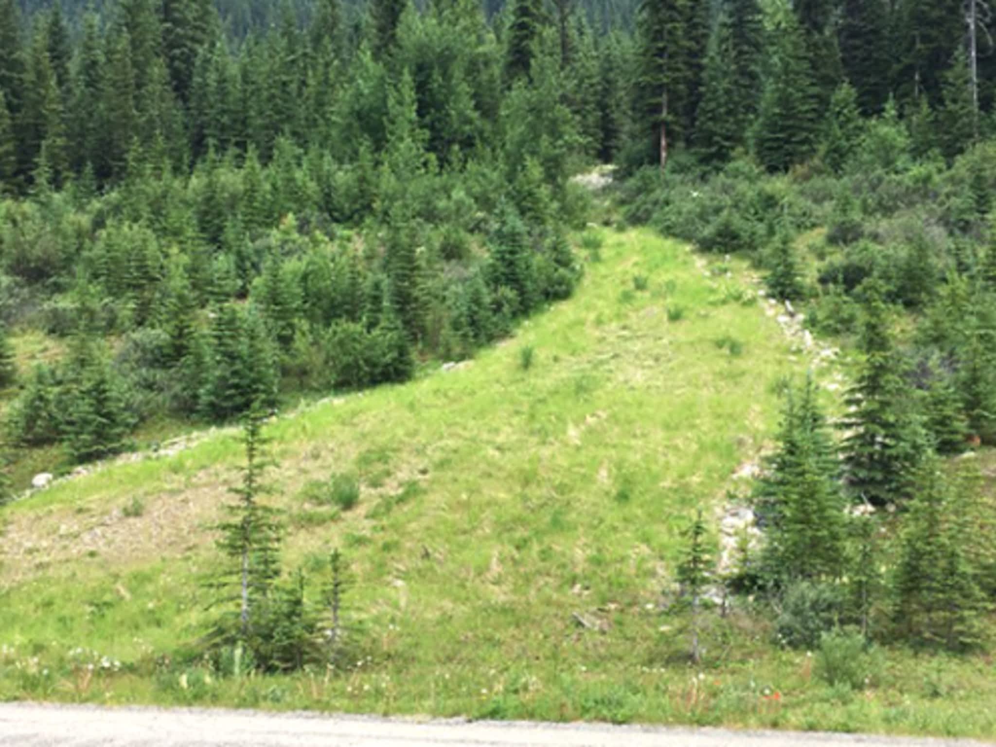 photo Grassland Hydroseed Ltd