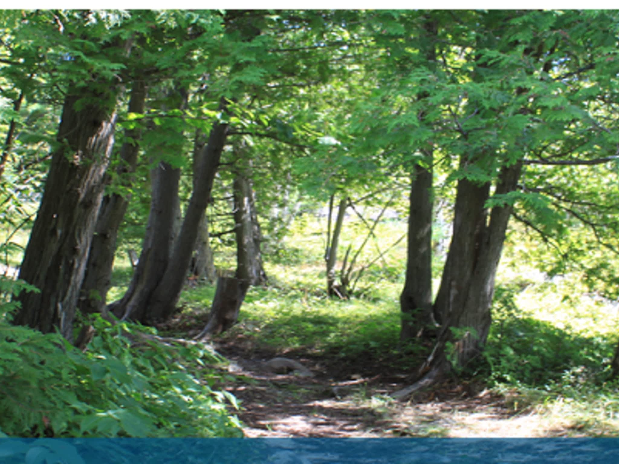 photo Cedar Grove Trailer Park