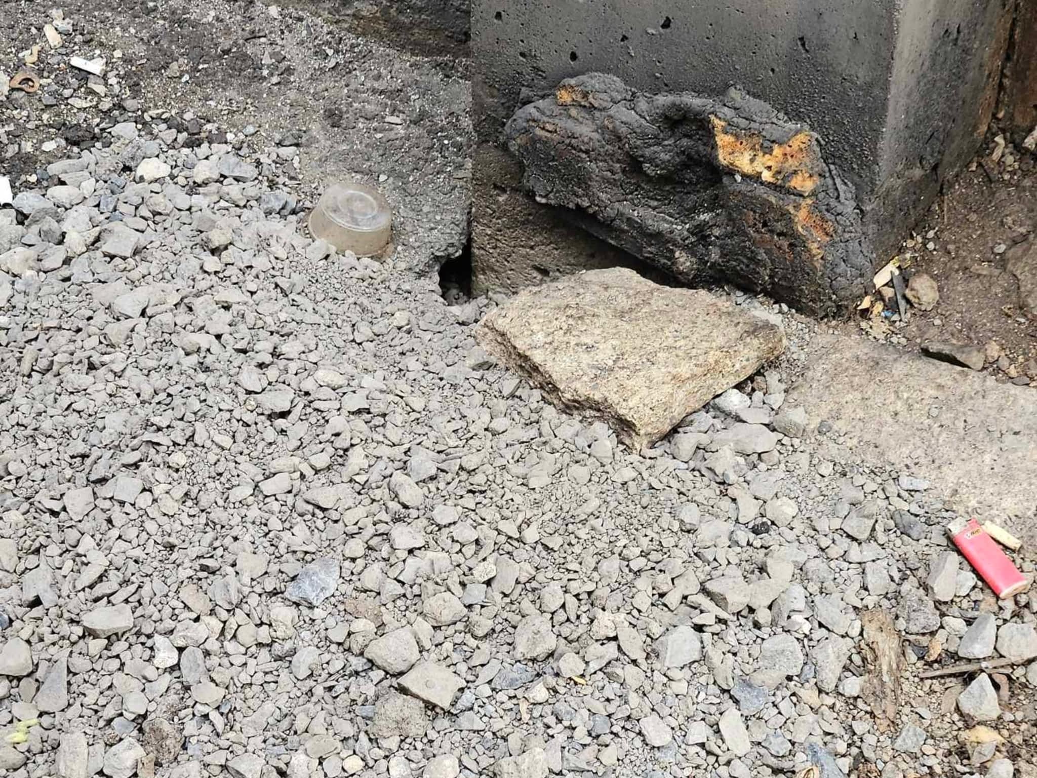 photo D Solution Extermination