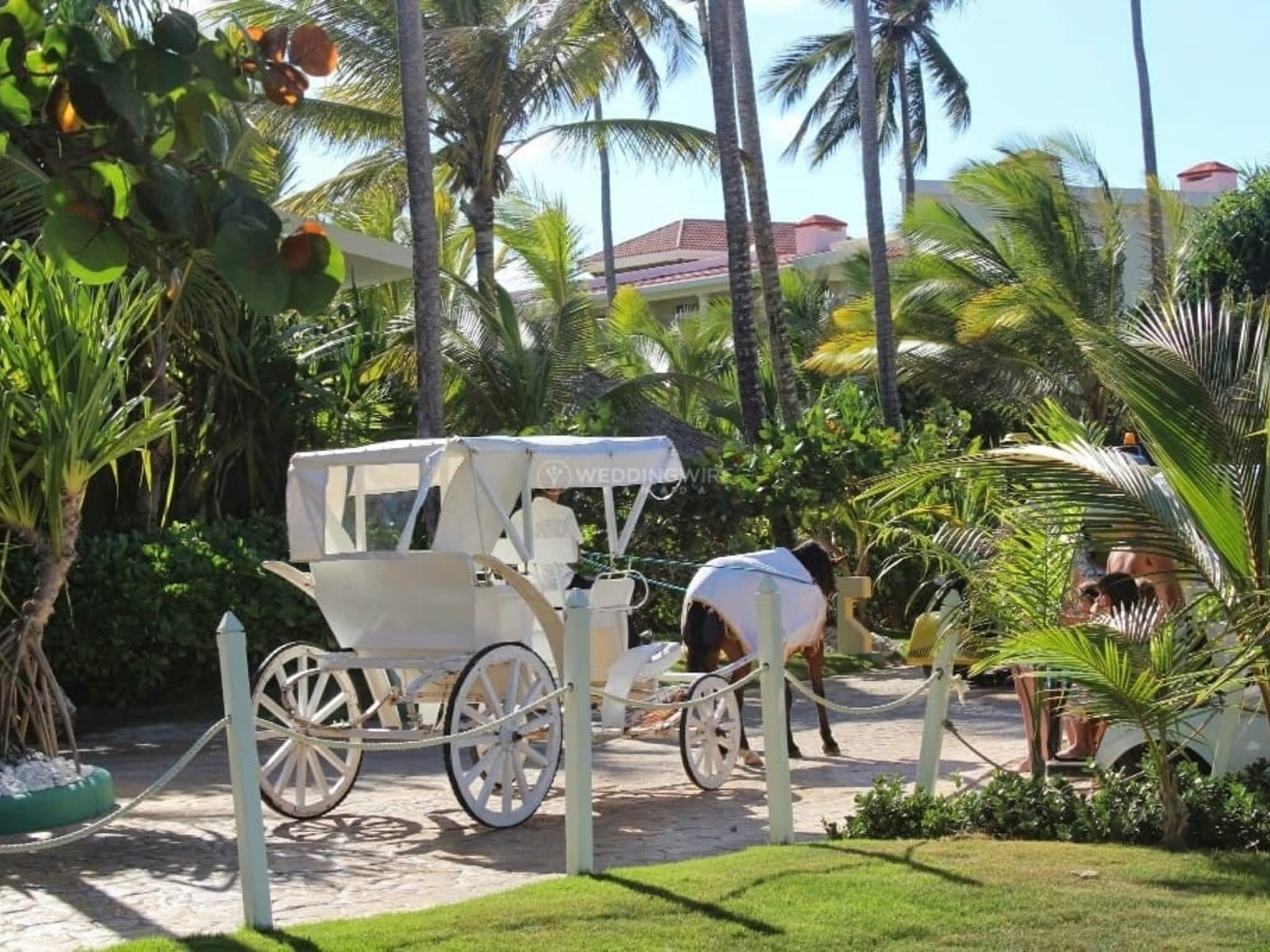 photo Future Occasions