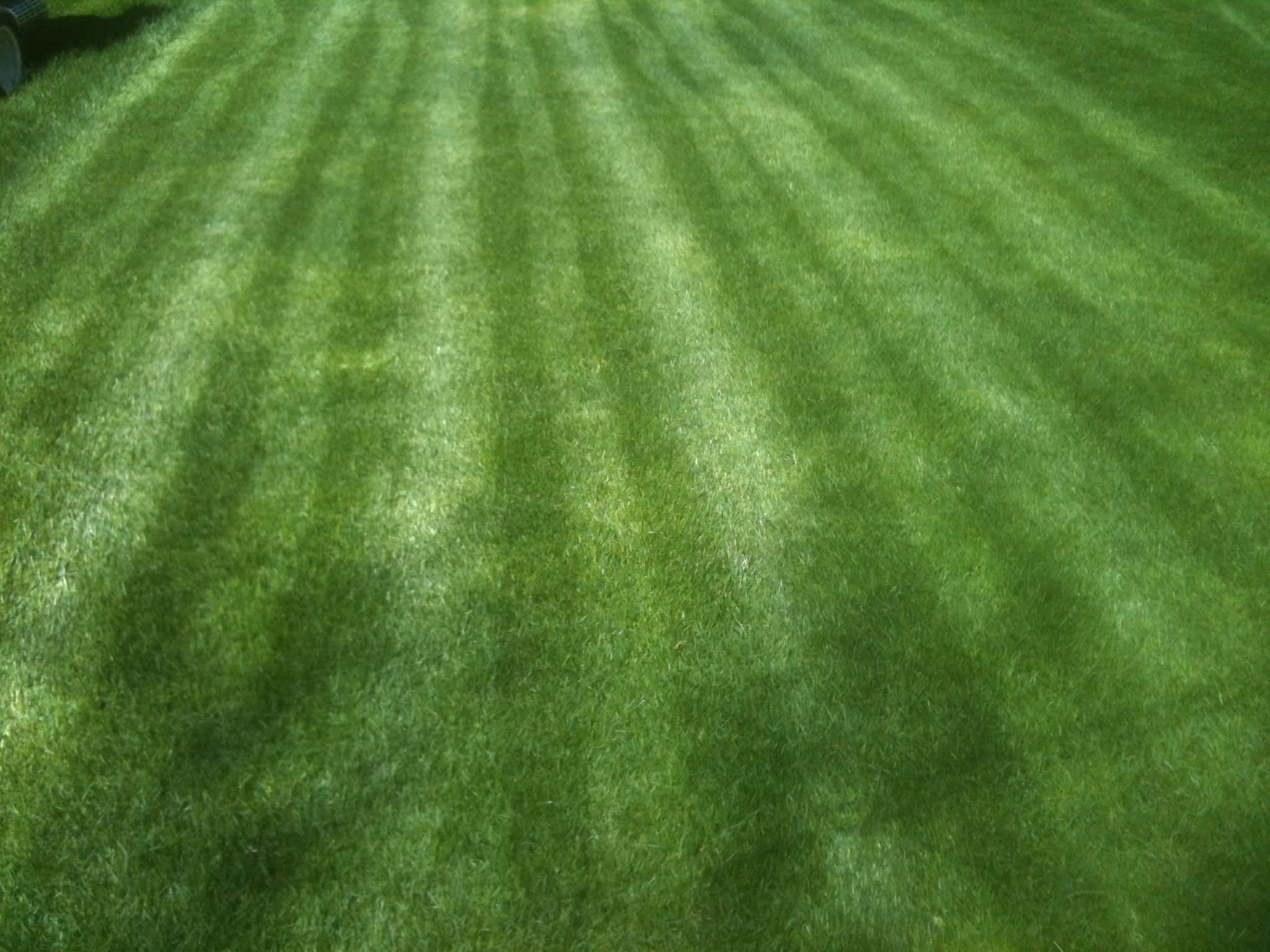 photo Thibodeau Paysagiste