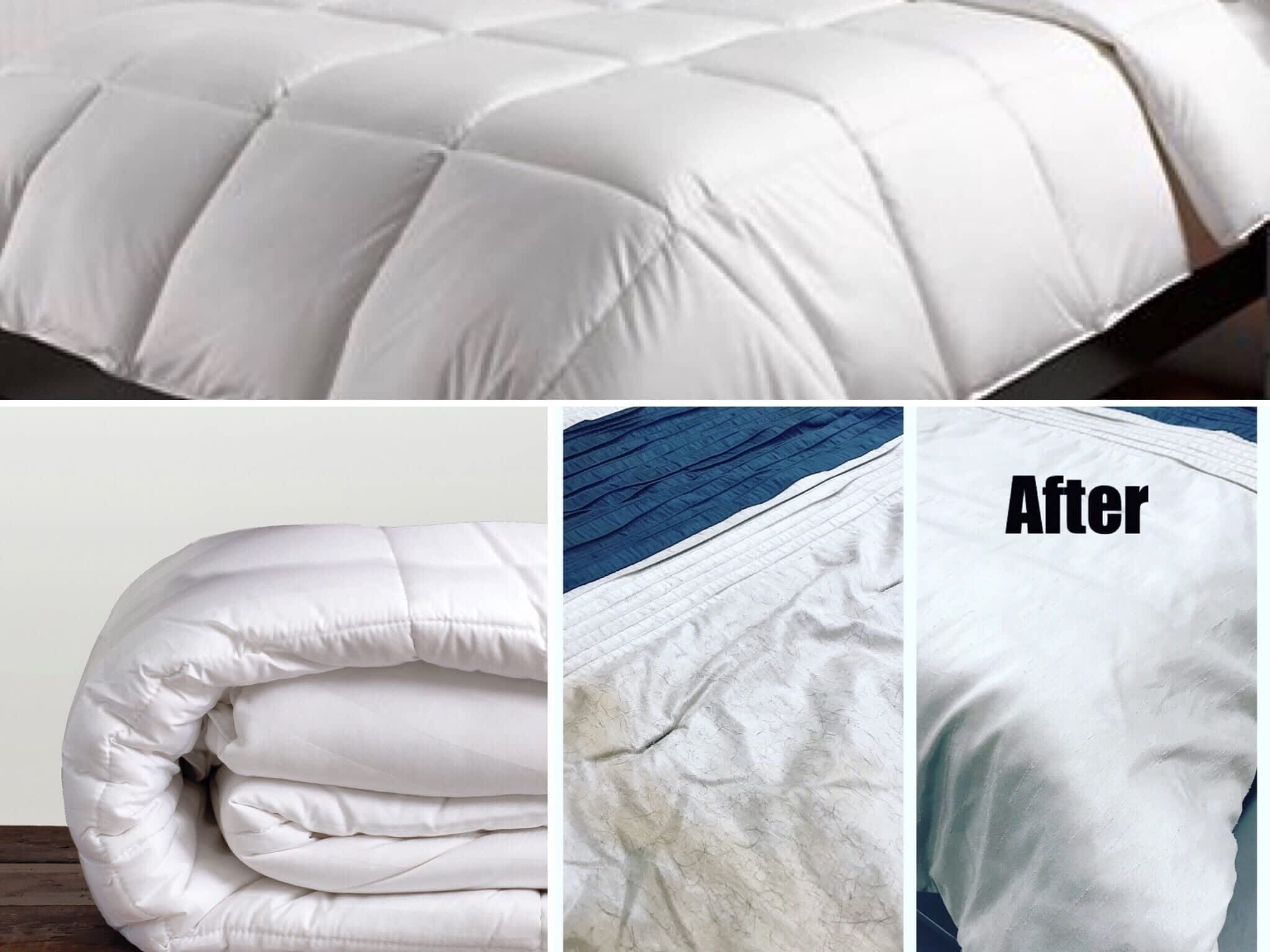 photo North Shore Laundry Services