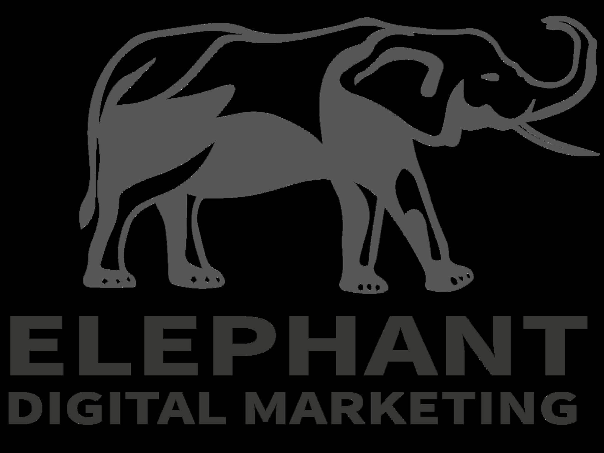 photo Elephant Digital Marketing