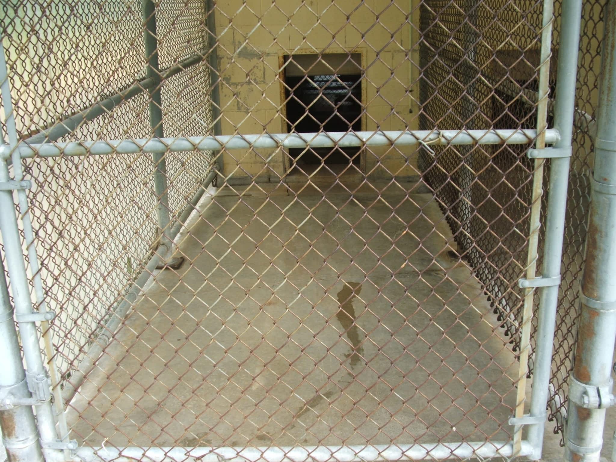 Country Kennels Baltimore, ON 626 County Road 22 RR 2 Canpages