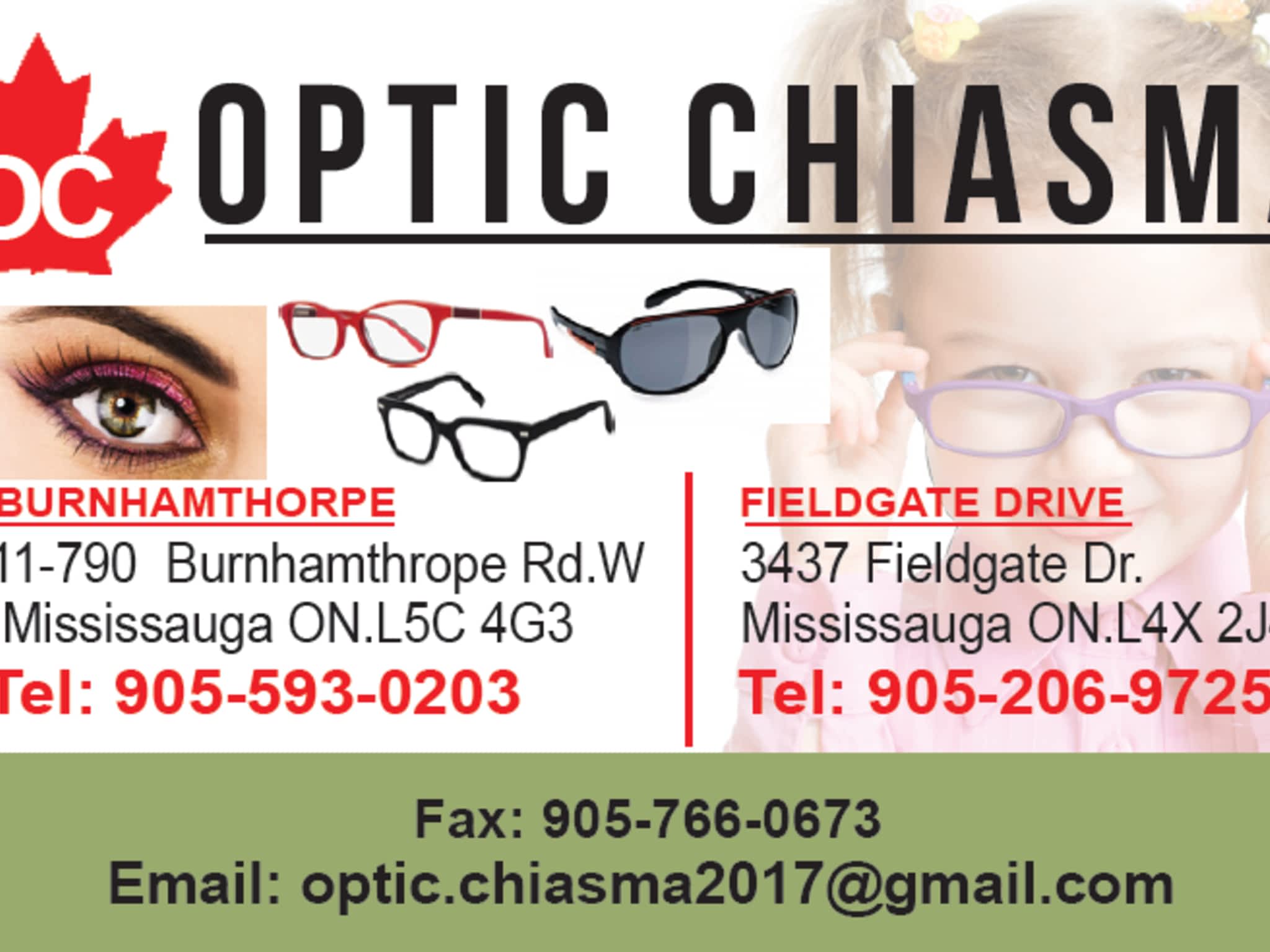 photo OPTIC CHIASMA