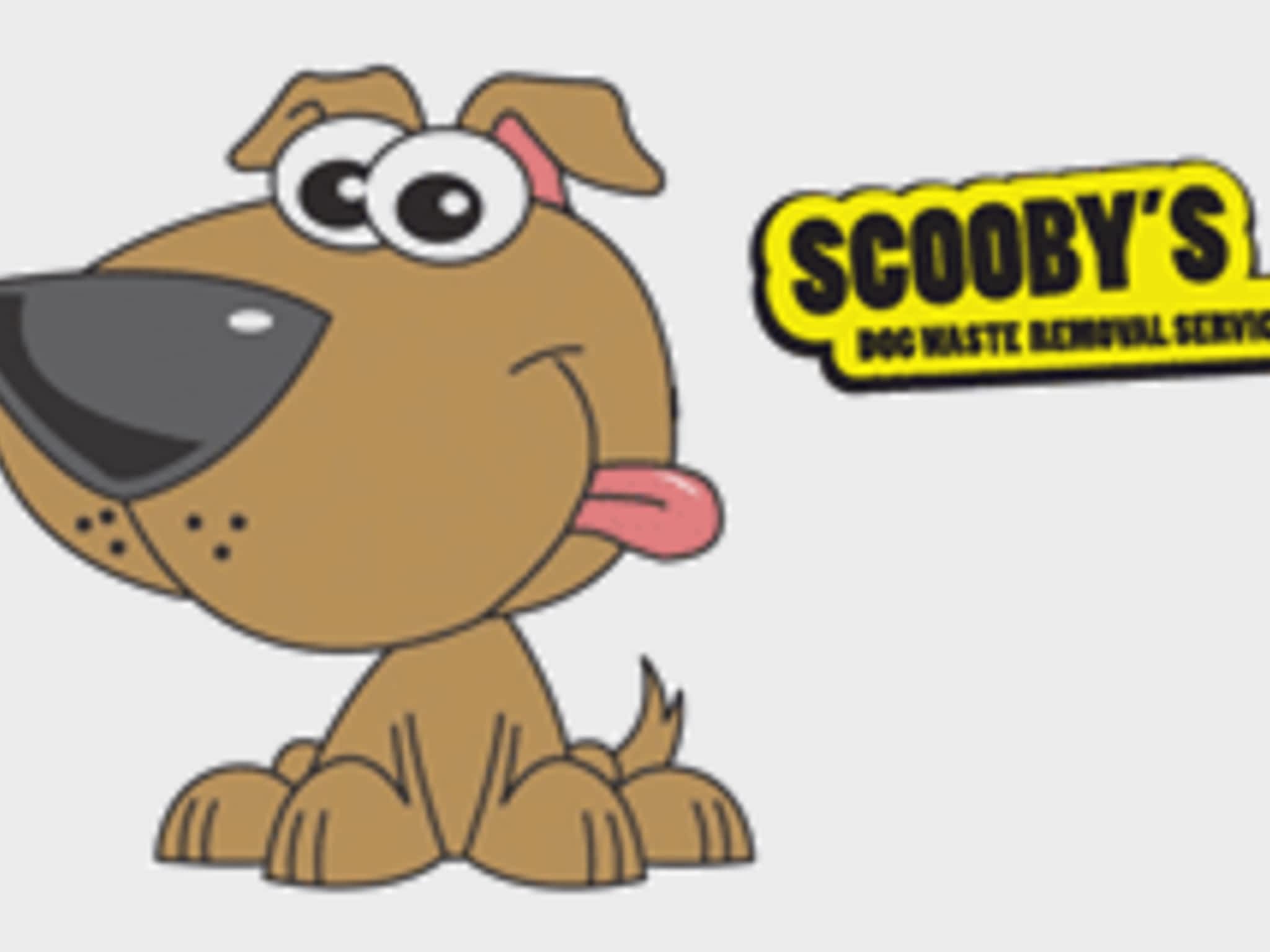 photo Scooby's Dog Waste Removal Service