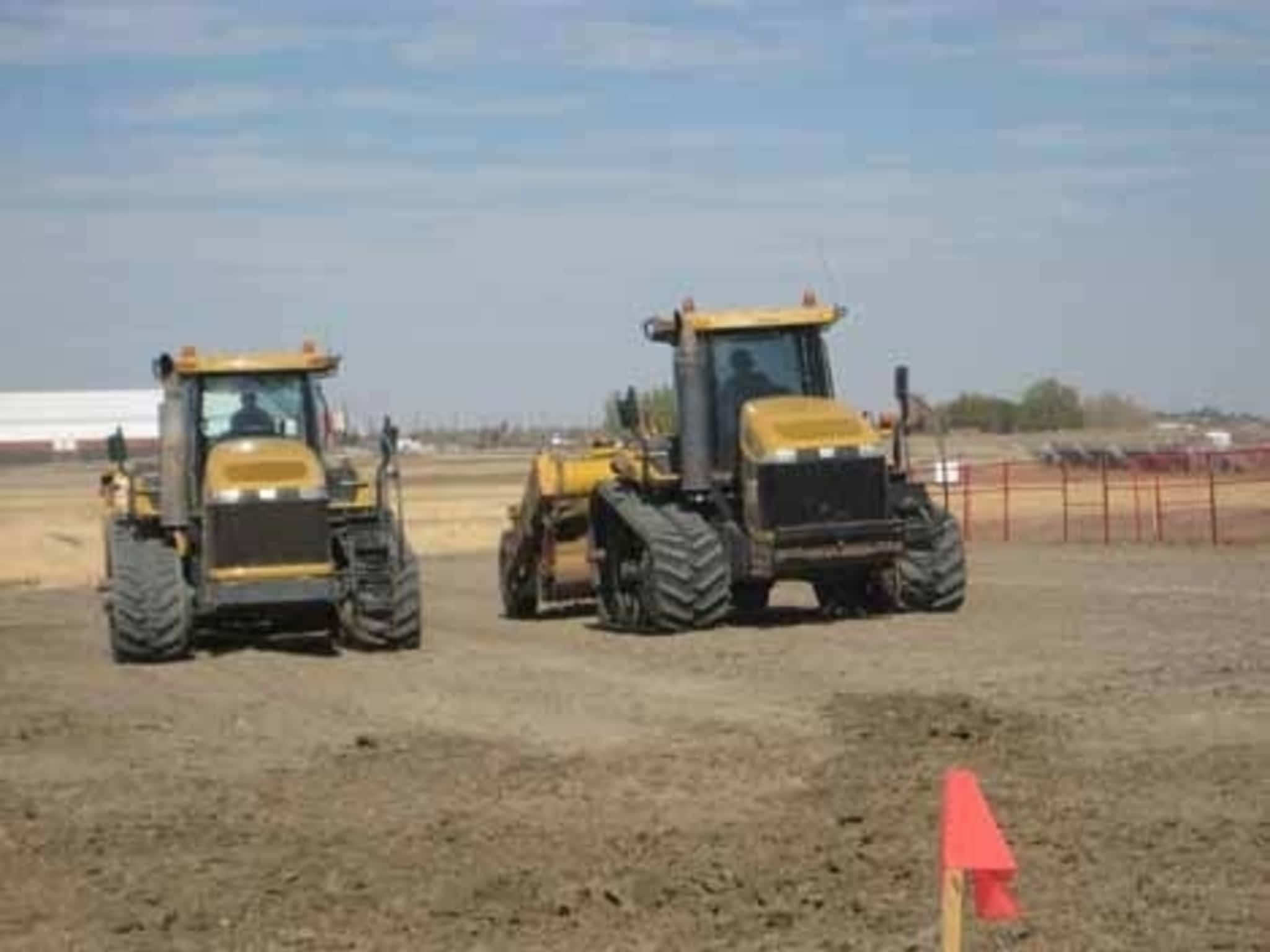 photo Elliott Cats Ltd