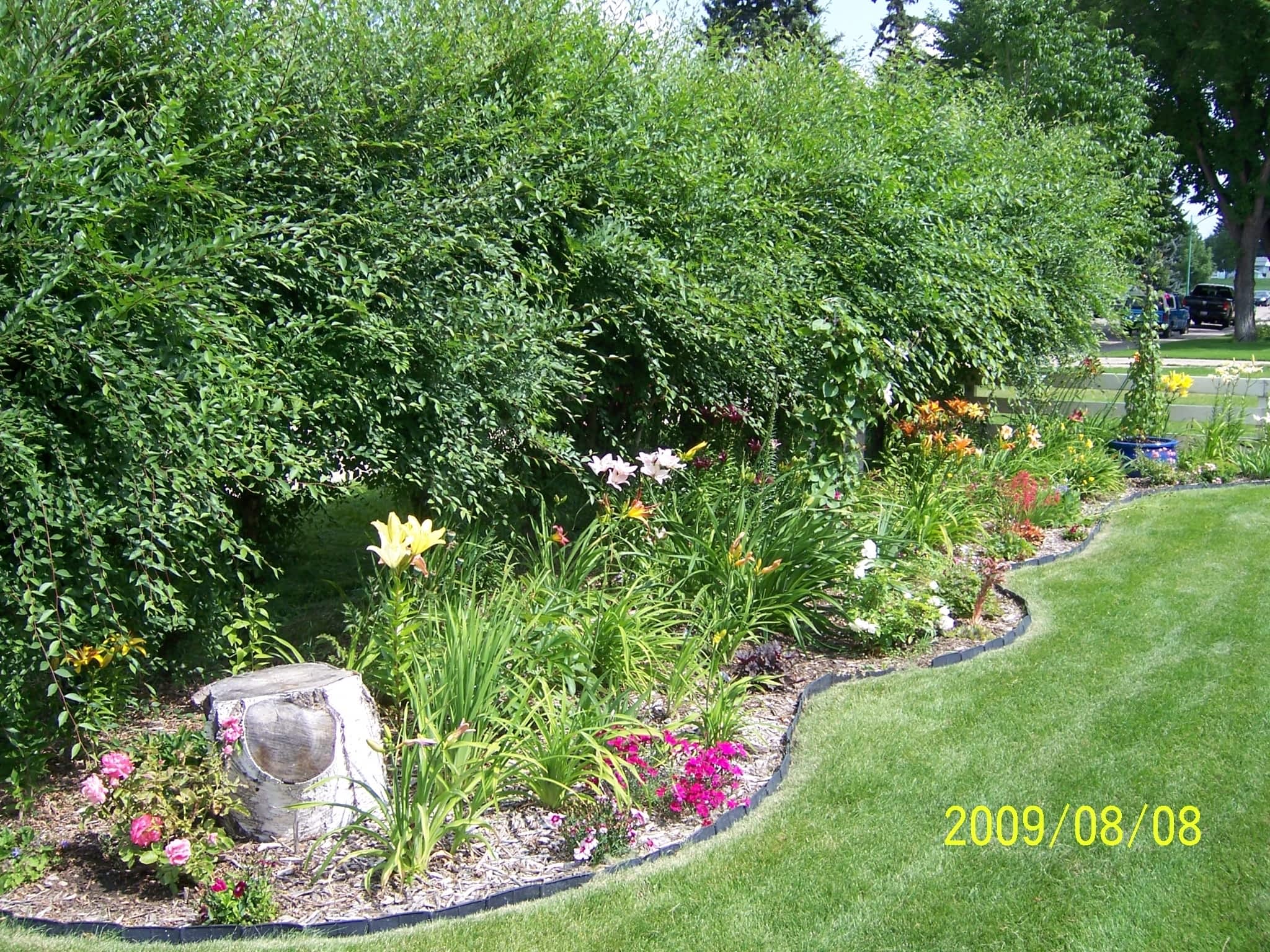photo Vel's Yardwork & Small Landscaping Projects