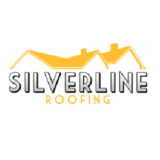 View Silverline Roofing’s Edmonton profile