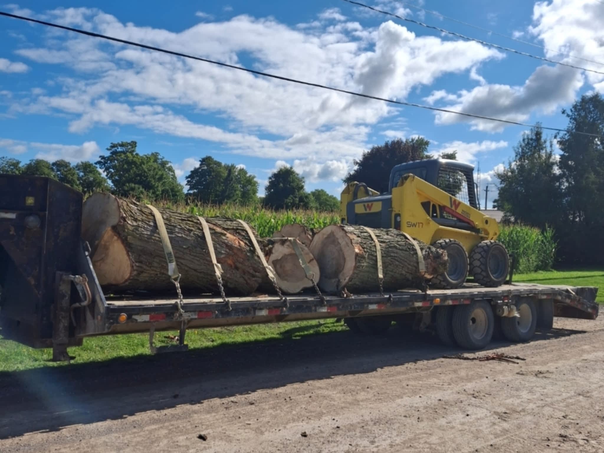 photo Kipfer Tree Service