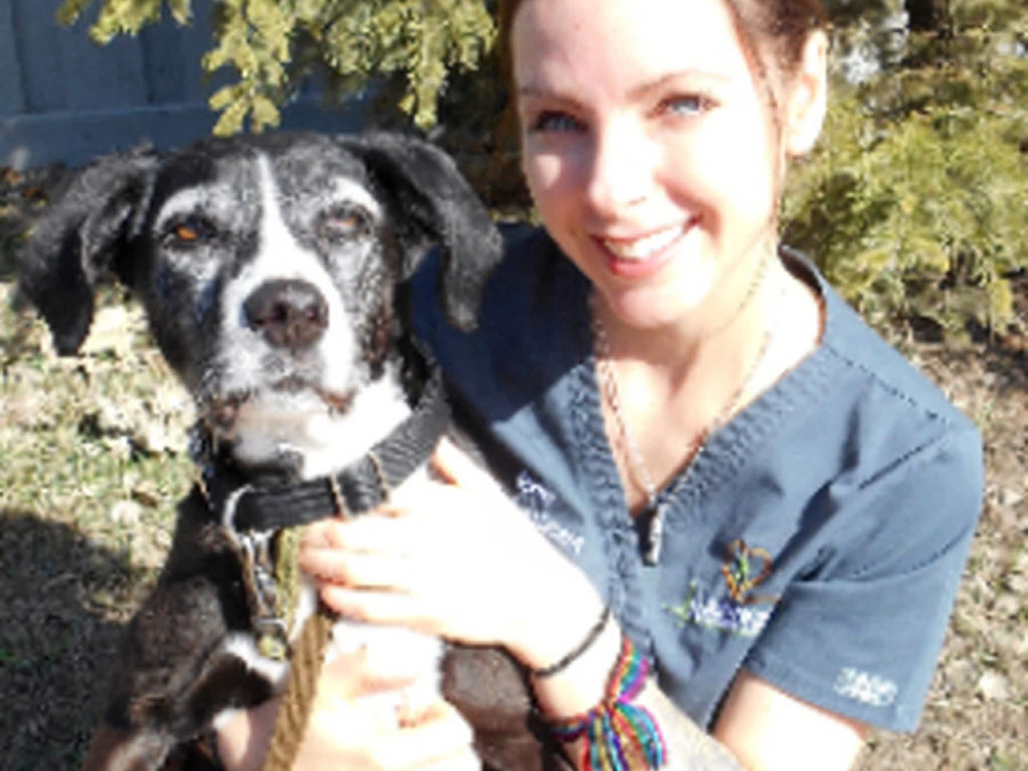 photo Companion Veterinary Clinic Dog Training Ltd.