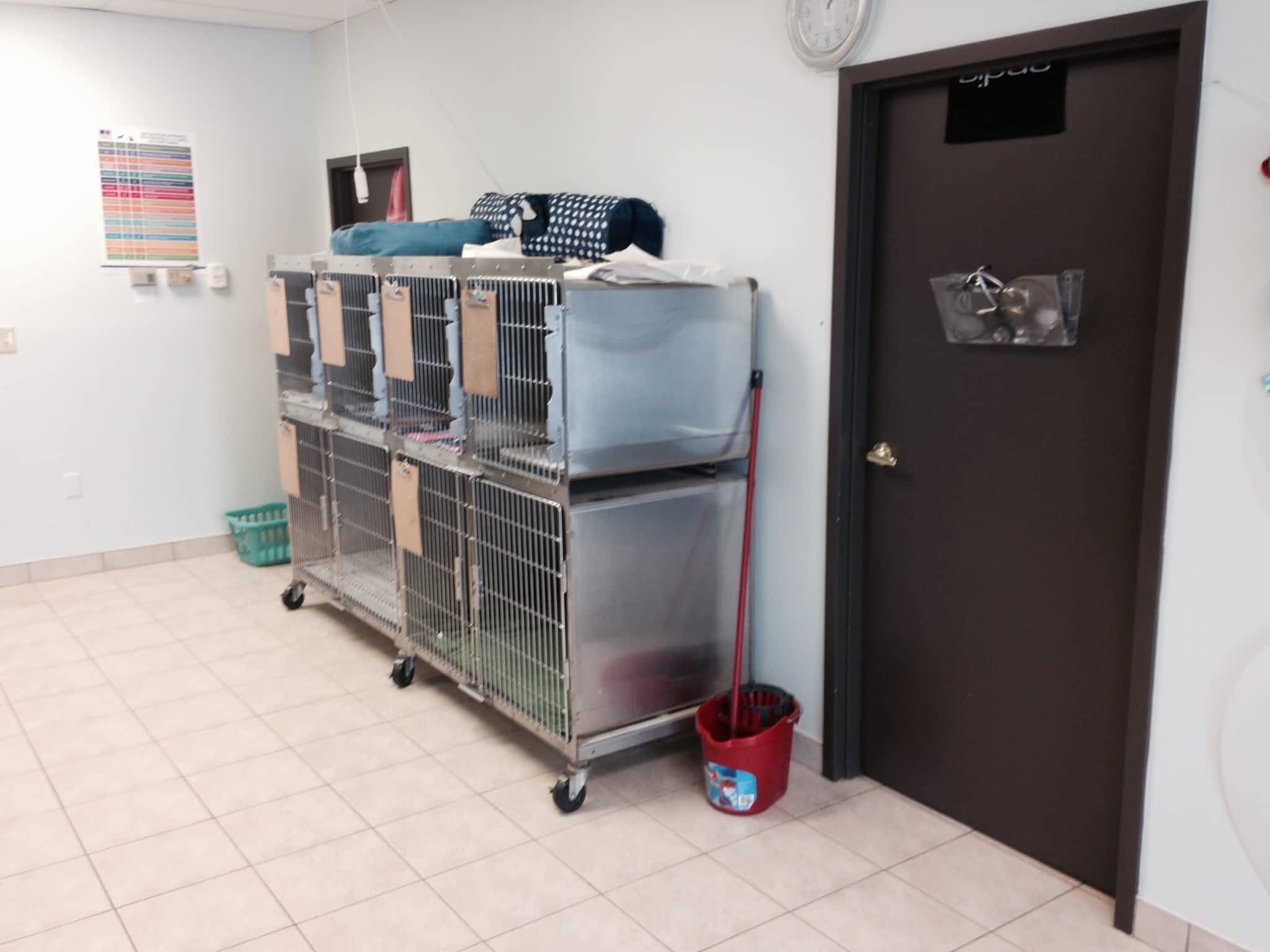 Broadway Animal Hospital Orangeville, ON 1328 Broadway Ave Canpages