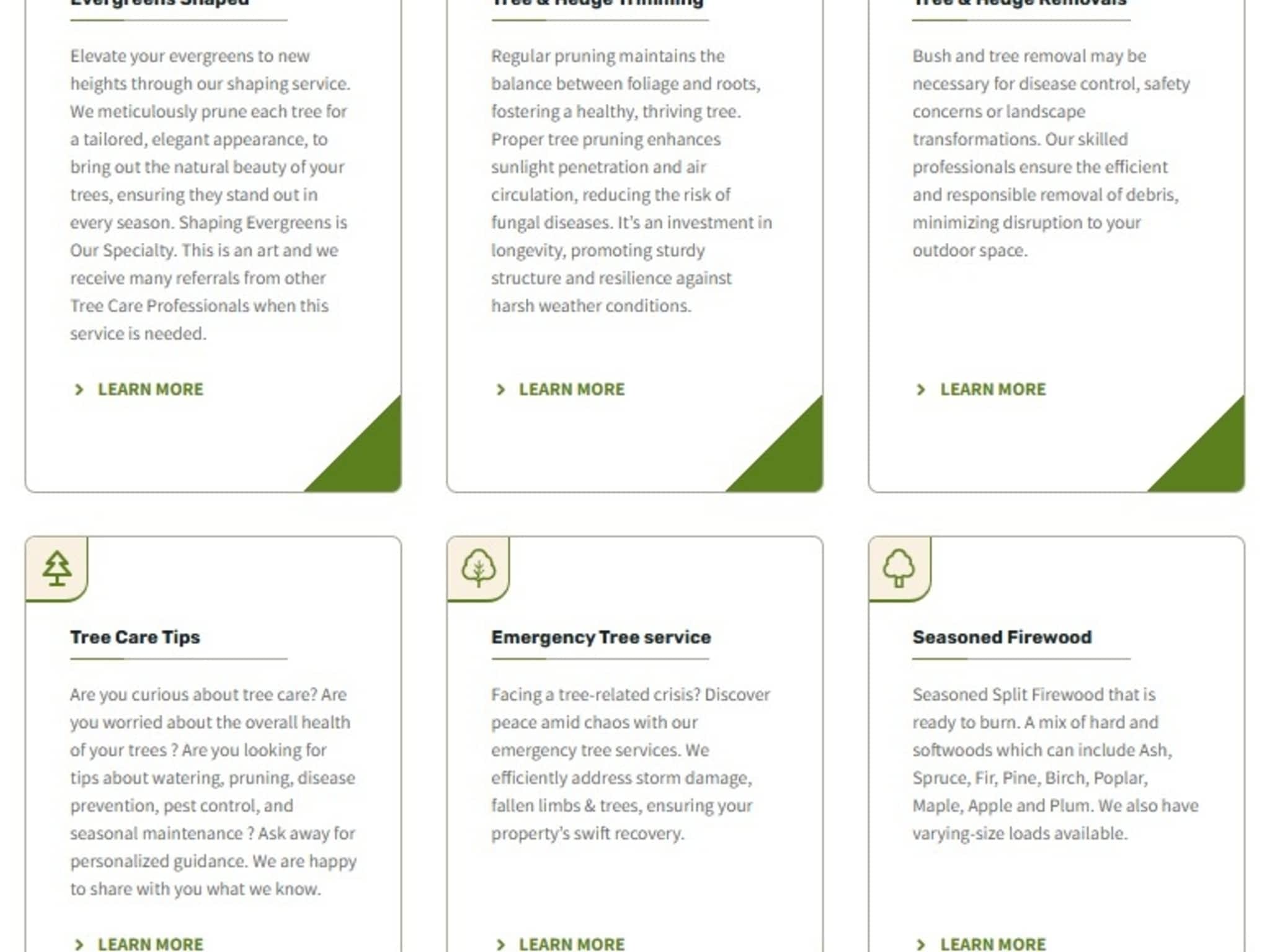 photo The Tree Man and Son