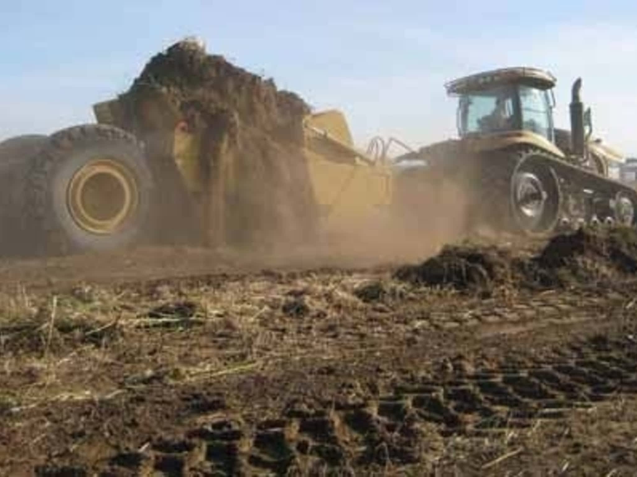 photo Elliott Cats Ltd