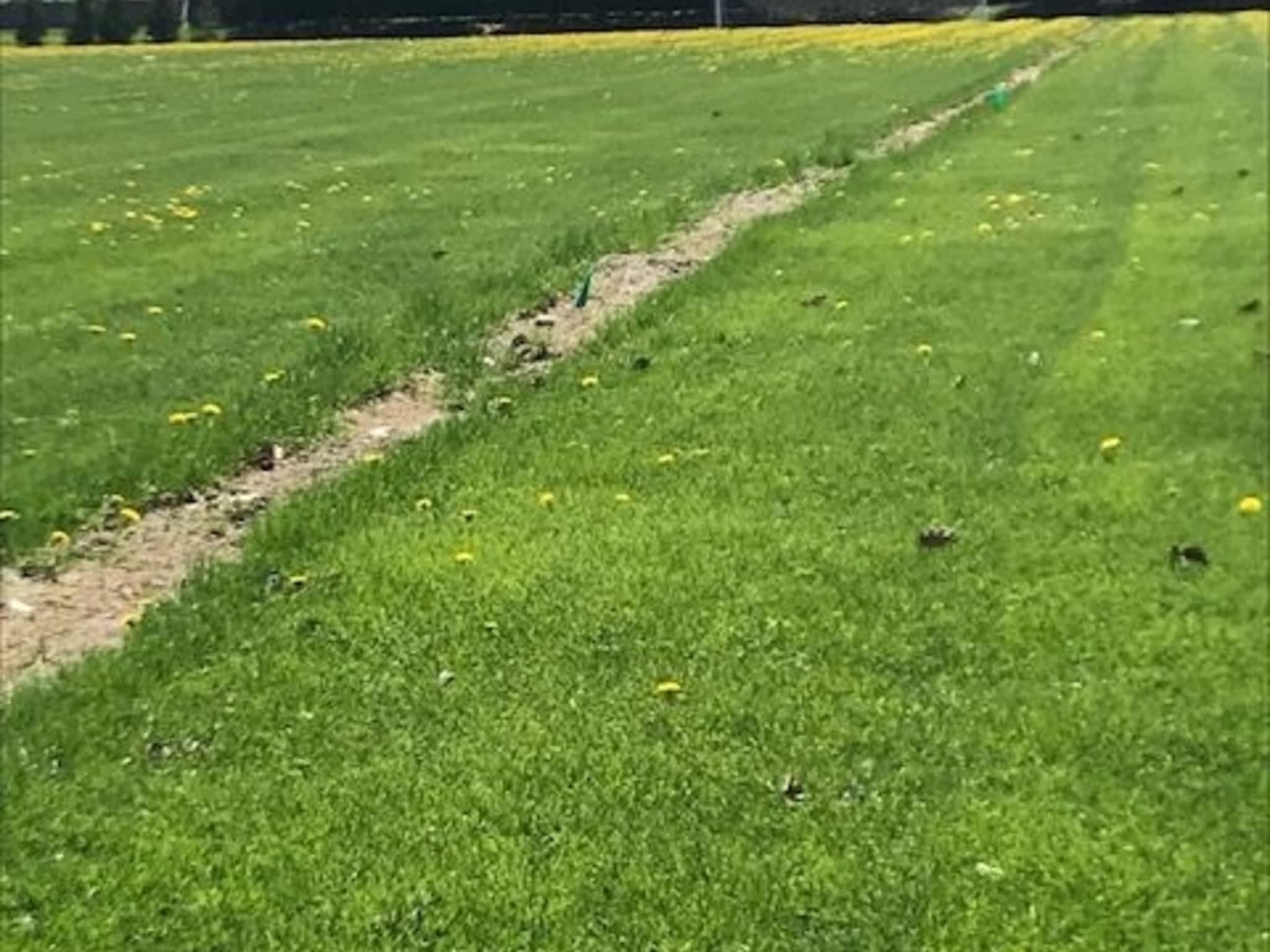 photo Complete Coverage Irrigation