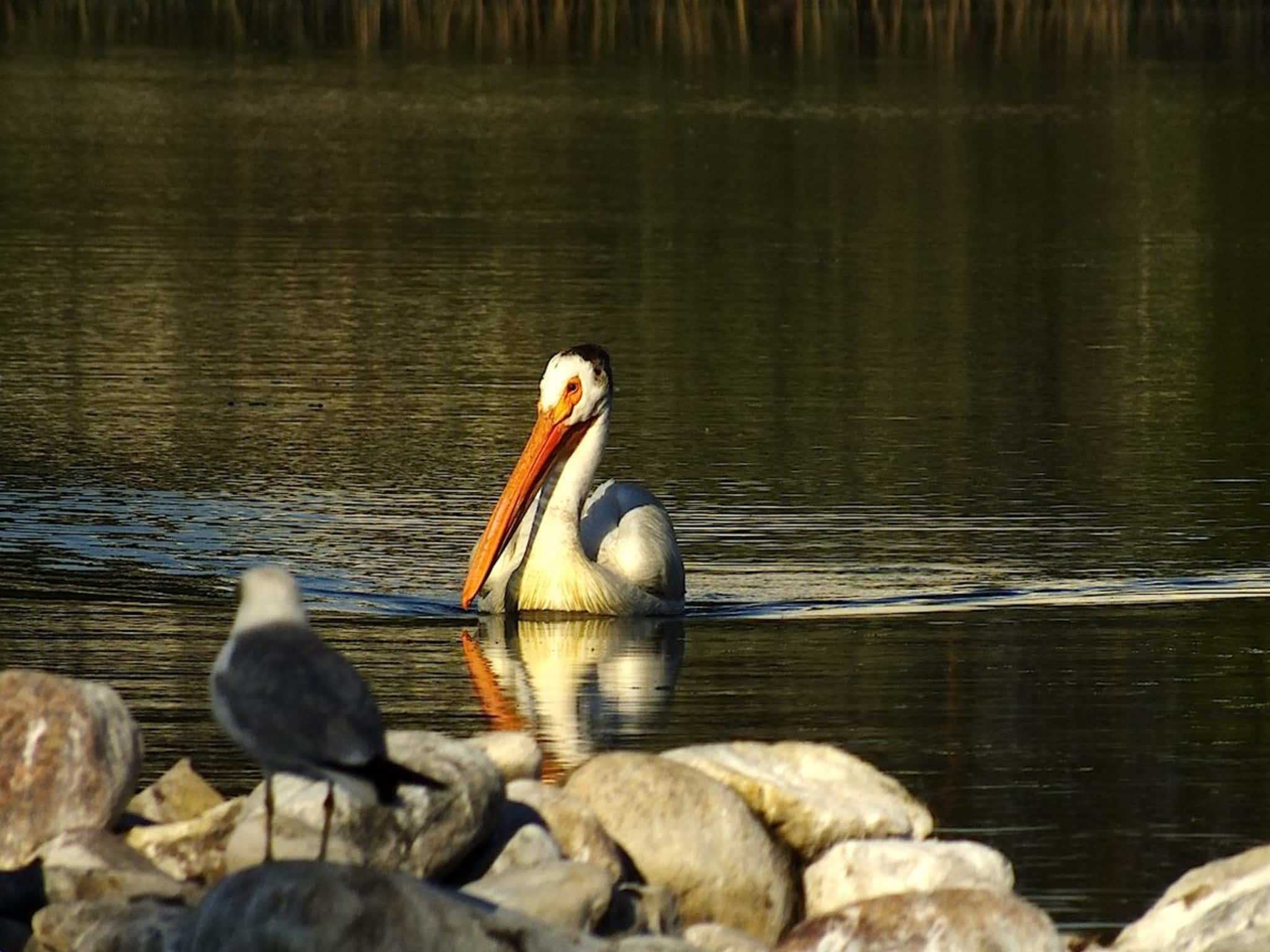 photo Brooks Lock & Safe