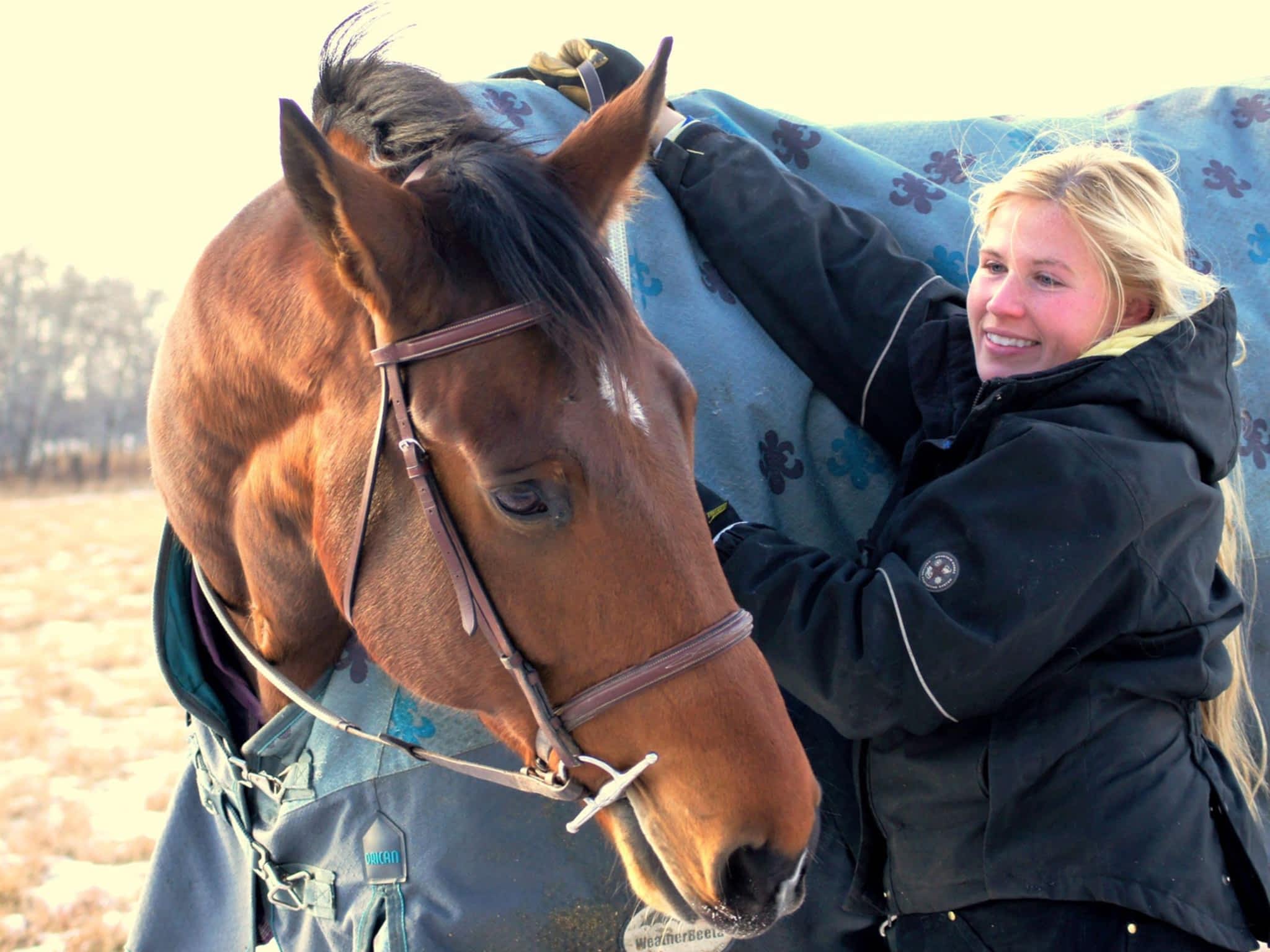 Grand Oak Meadow Stables Winnipeg, MB 1237 McCreary Rd Canpages