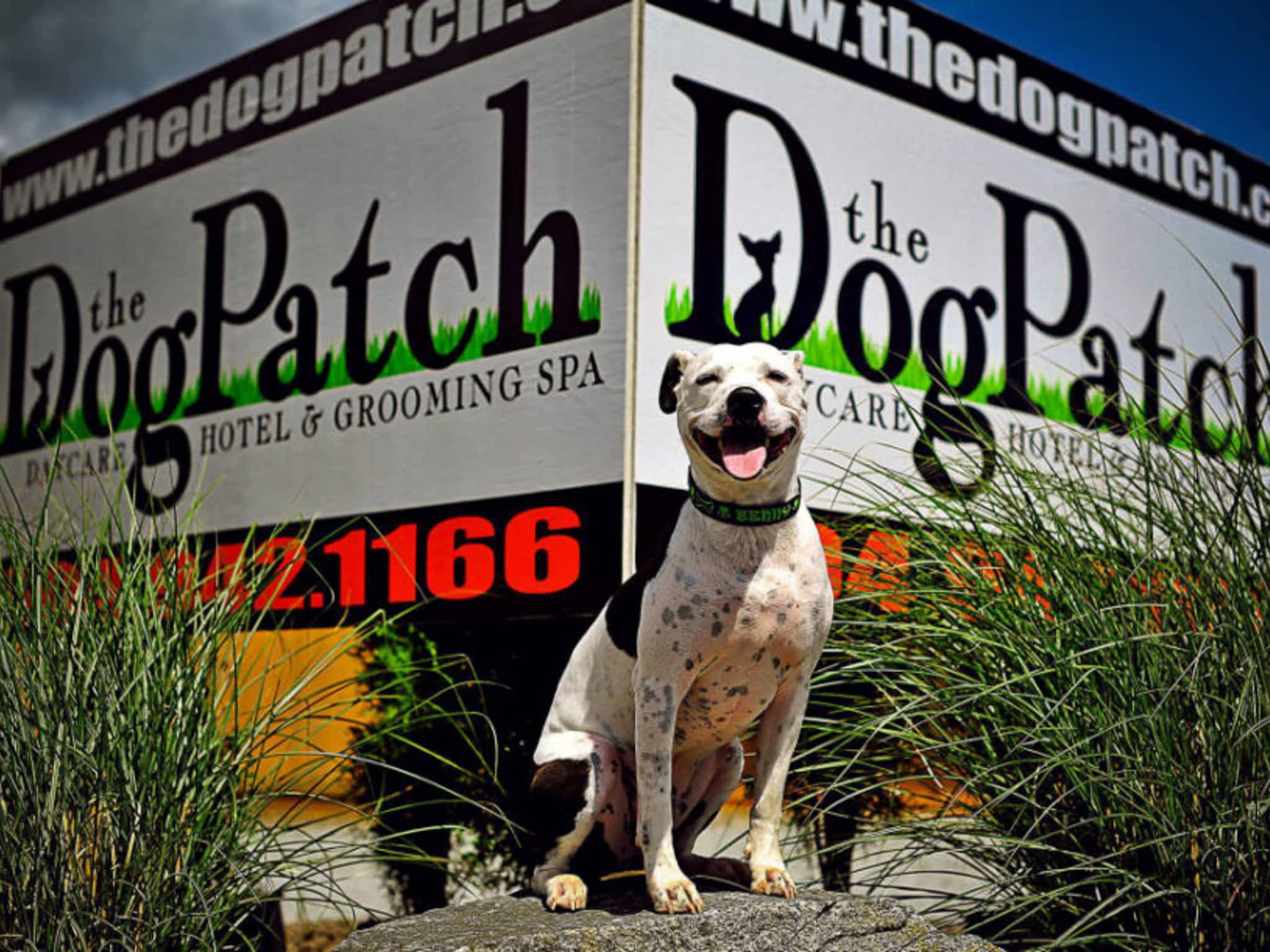 photo The Dog Patch Daycare Hotel & Spa