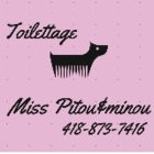 Miss pitou & minou - Toilettage et tonte d'animaux domestiques