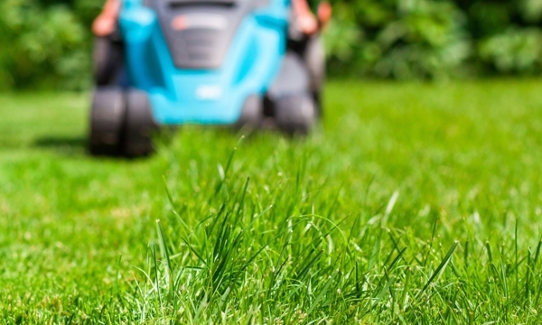 Green machines: Lawn mower stores in Montreal