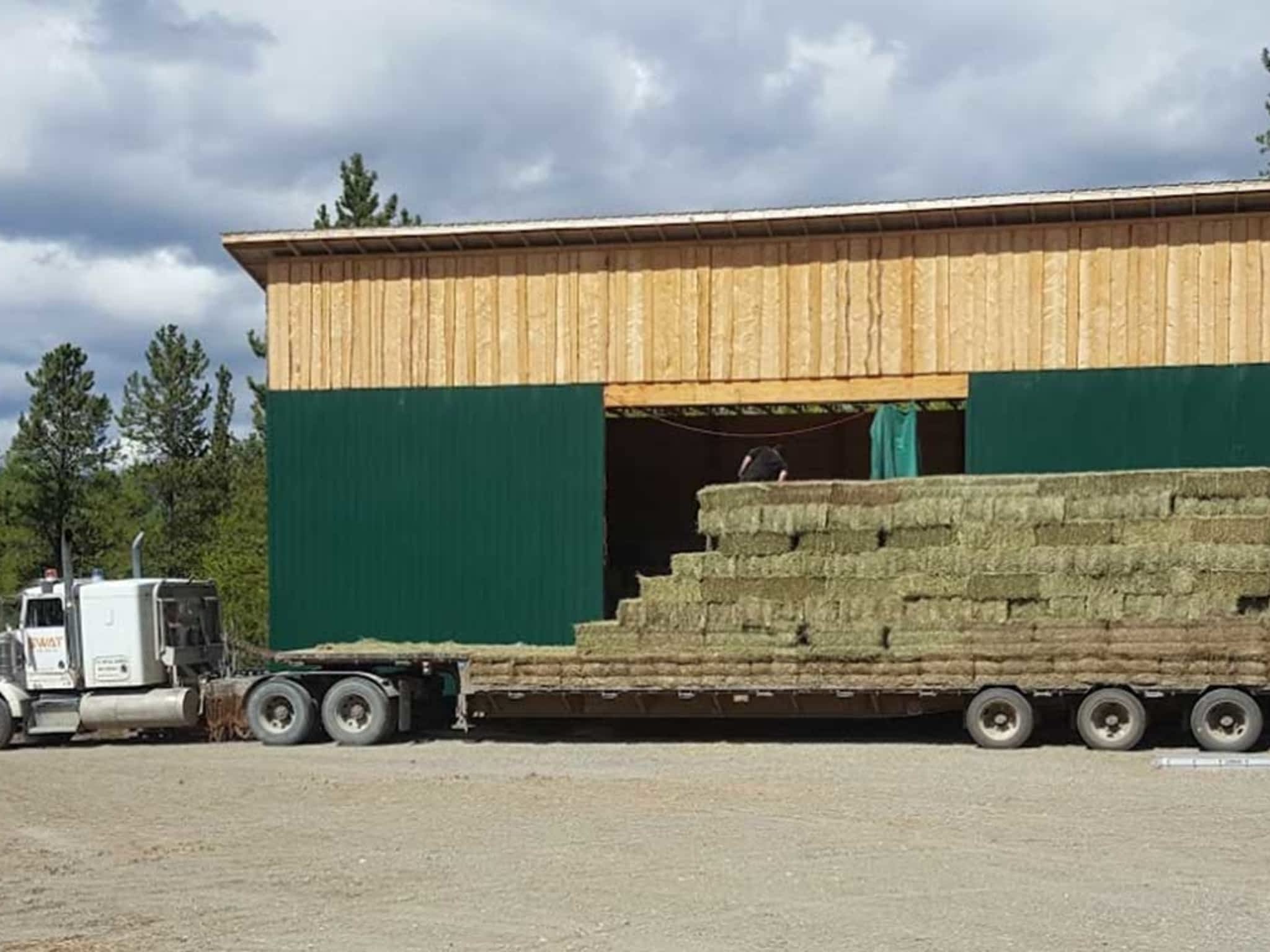 Feed Store The/Pet Junction Whitehorse, YT 9006 Quartz Rd Canpages