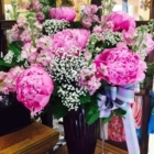 Plantation Flowers & Gifts - Funeral Supplies