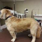 London Dog Spa - Pet Grooming, Clipping & Washing