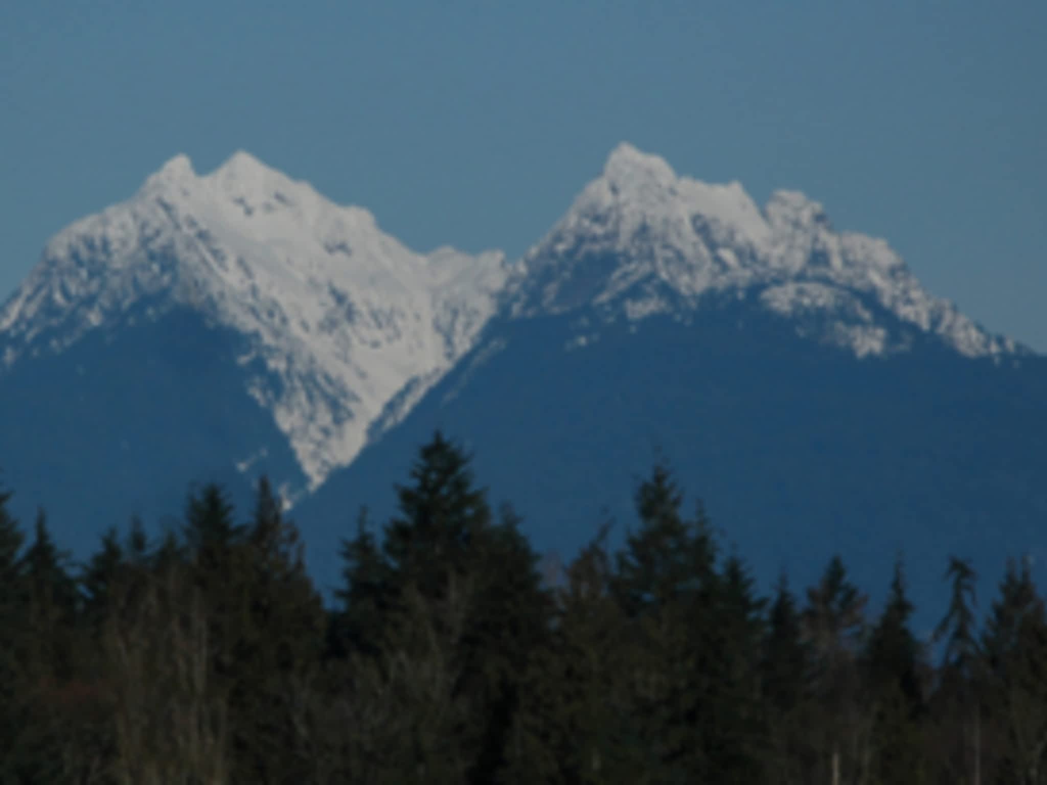 photo Golden Ears Tax Services