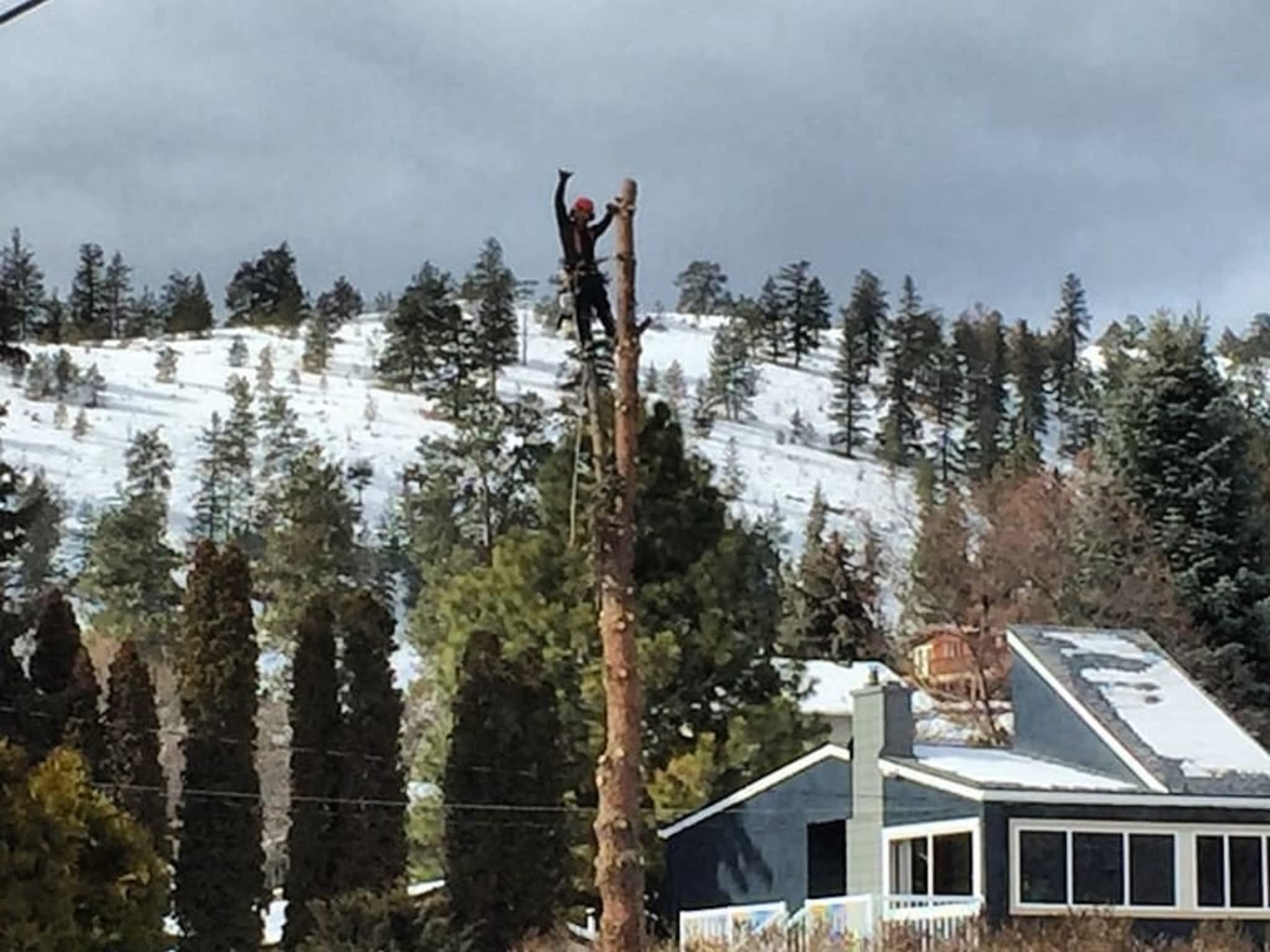 photo Axe Point Tree Services