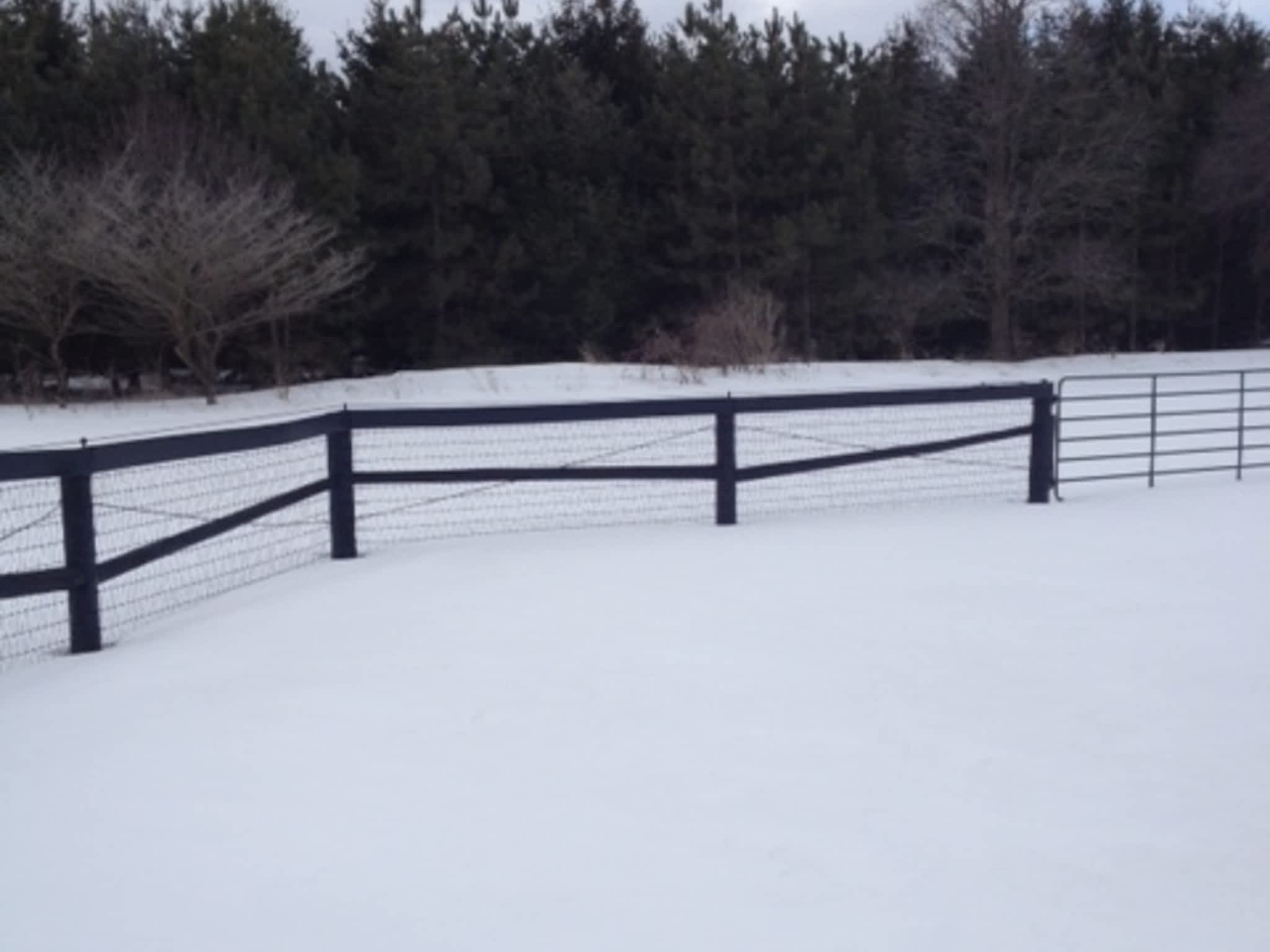 photo Total Equine Fencing