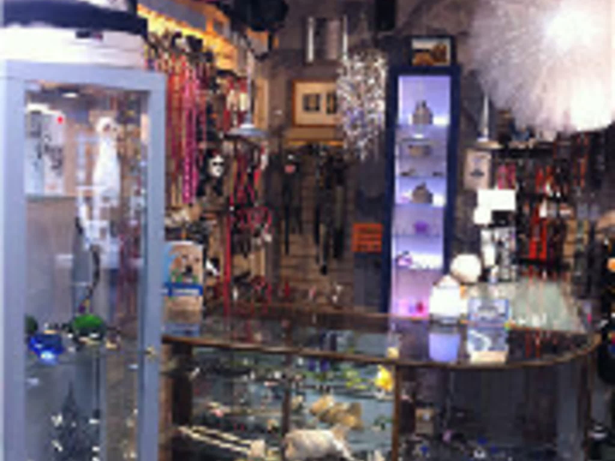 photo AJ's Pets & Things