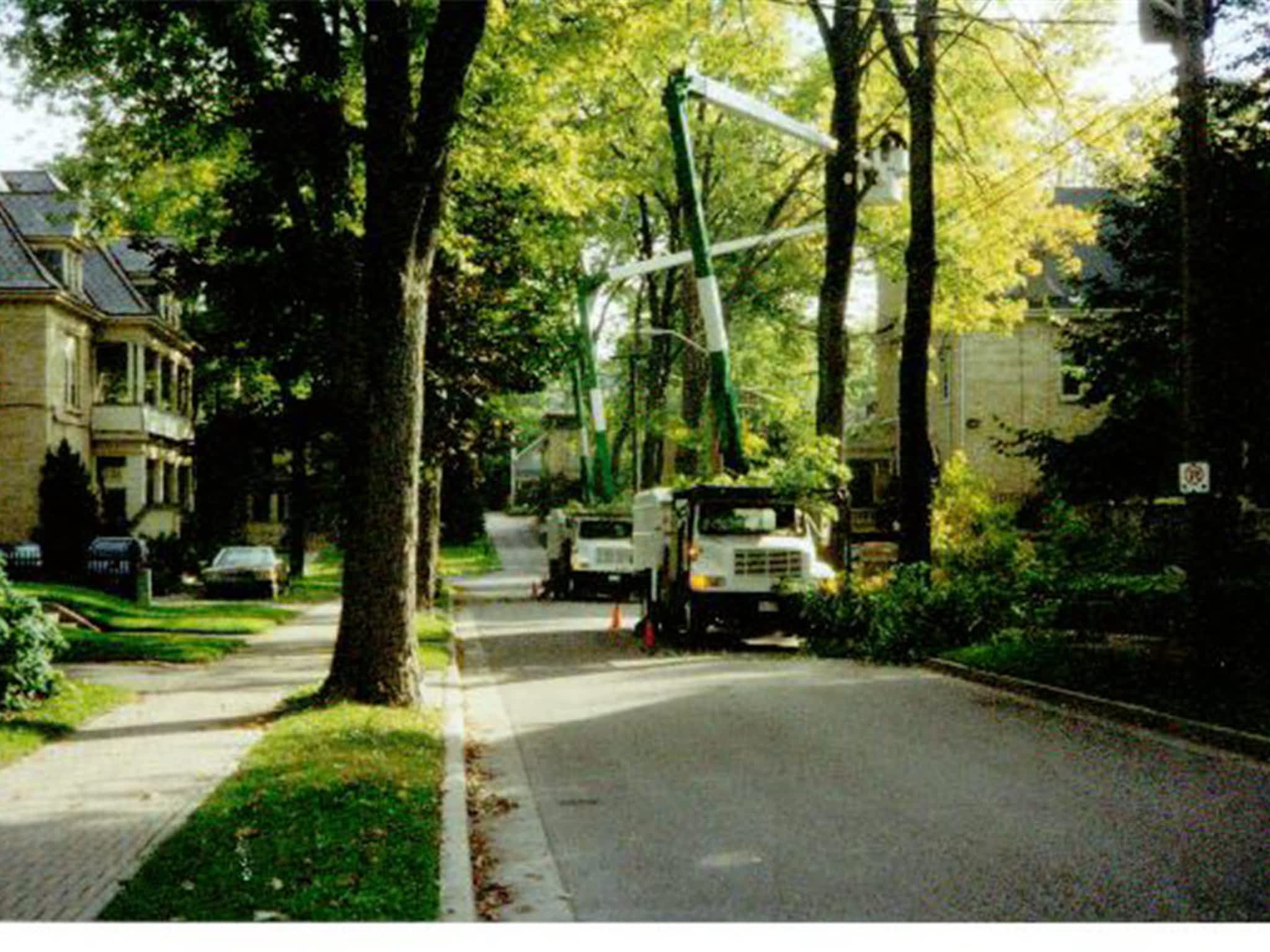 photo Landgraff Tree Service