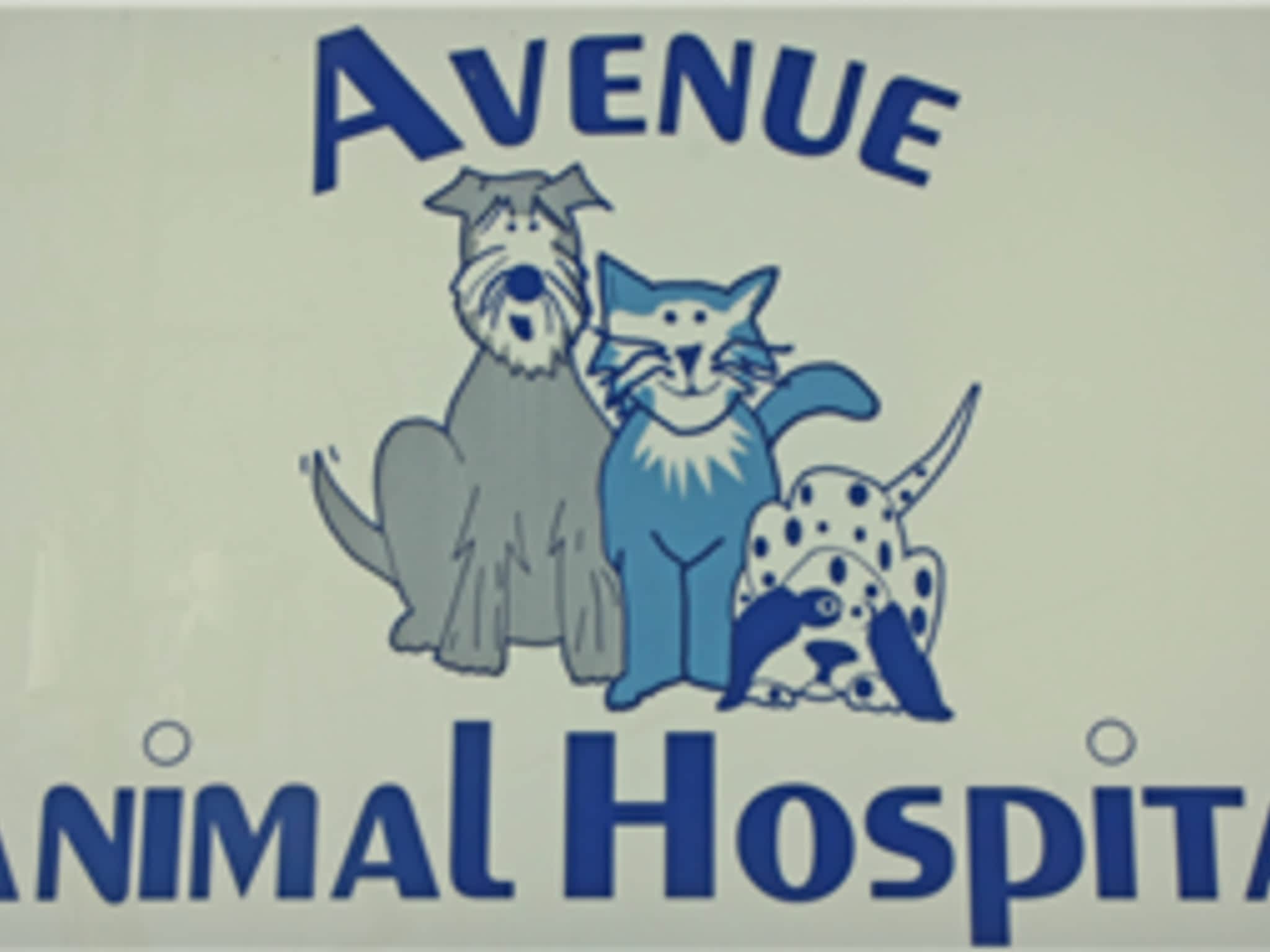 photo Avenue Animal Hospital Ltd