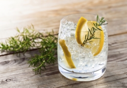 Vancouver bars for a refreshing gin and tonic