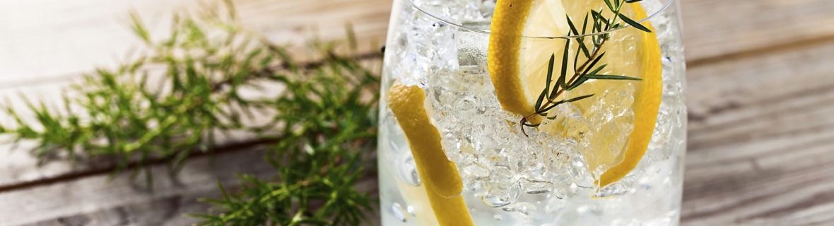 Vancouver bars for a refreshing gin and tonic