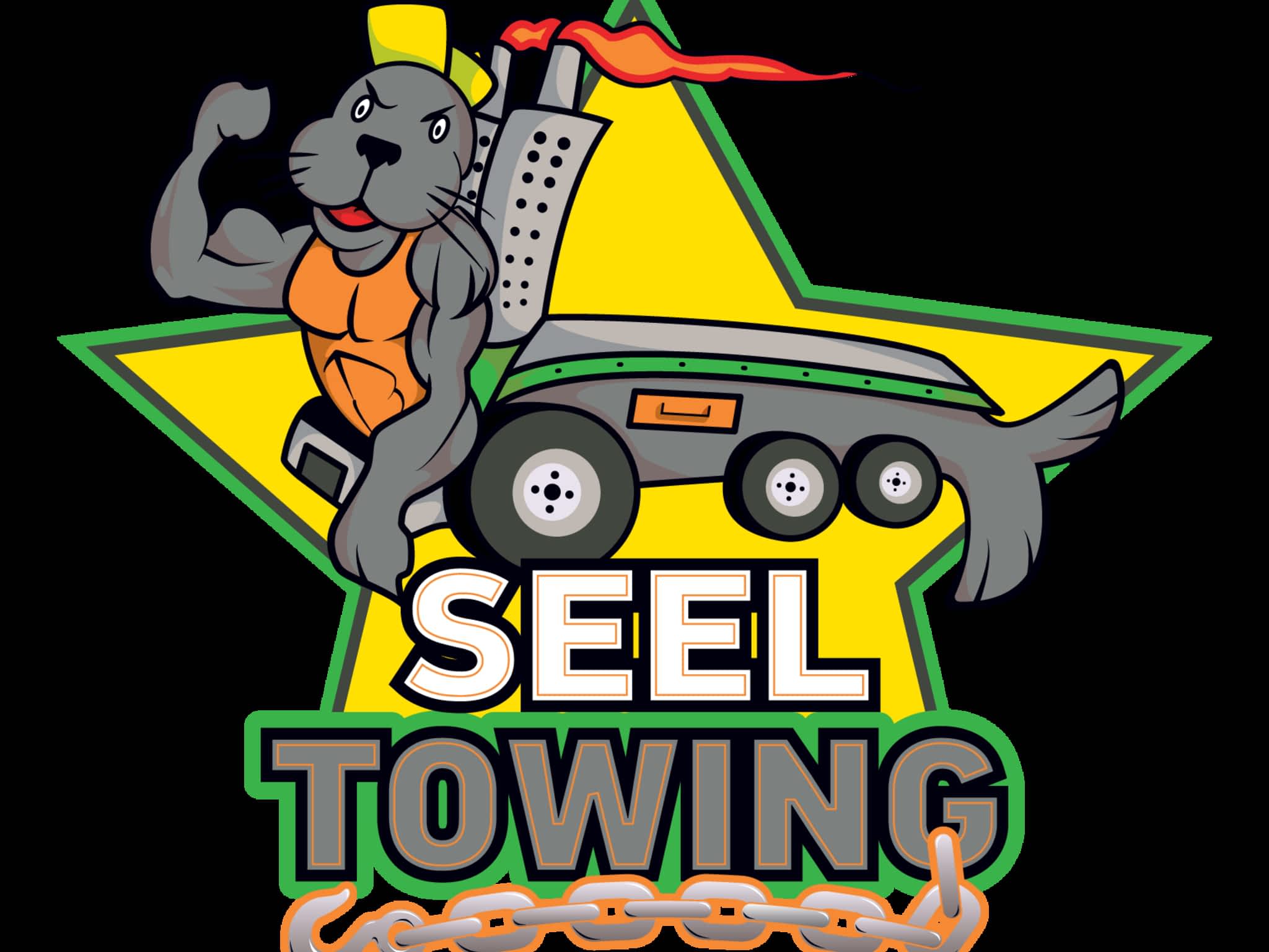 photo SEEL Towing & Recovery Services