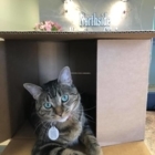 Northside Veterinary Clinic - Veterinarians