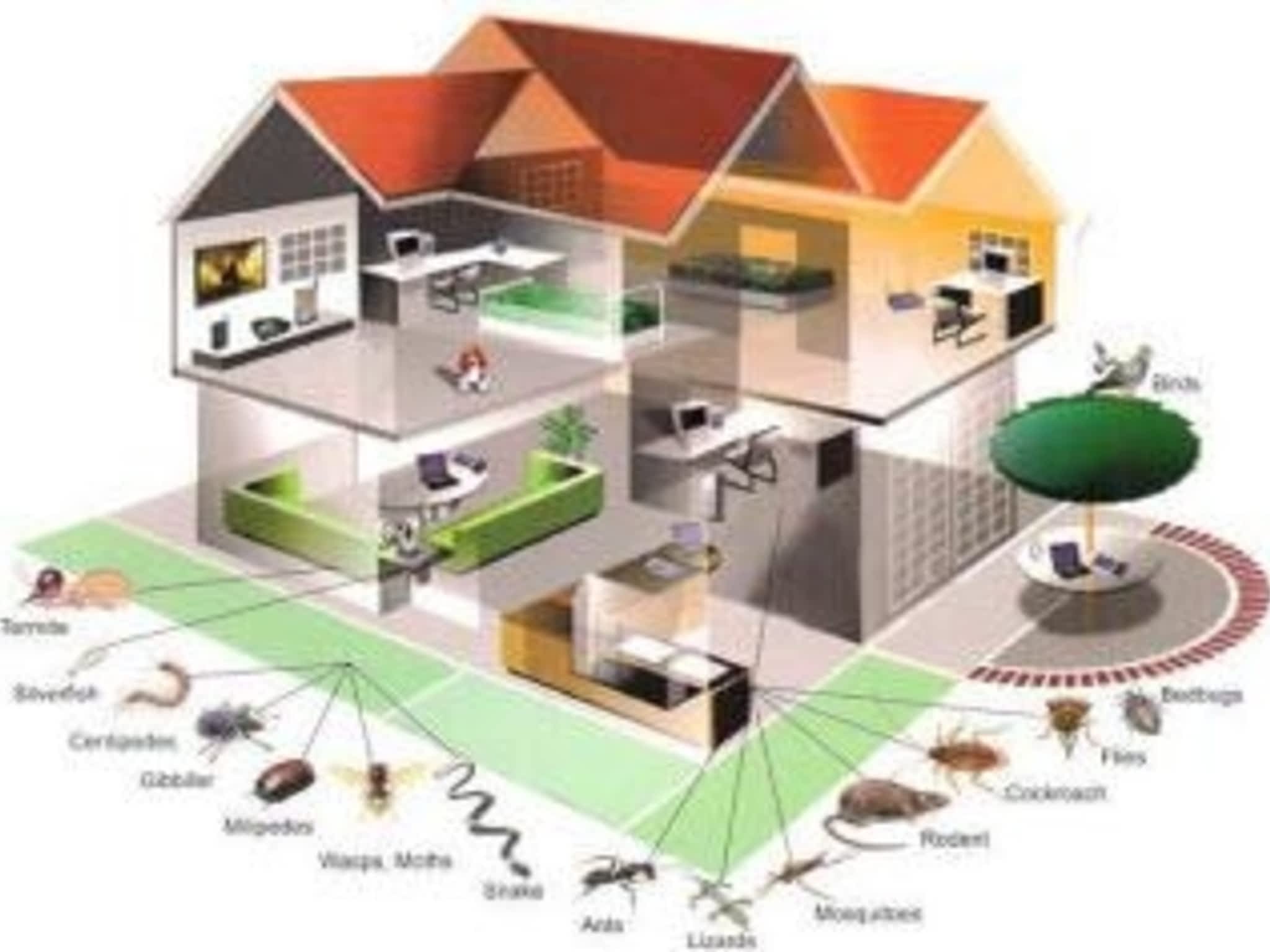 photo Atomix Extermination