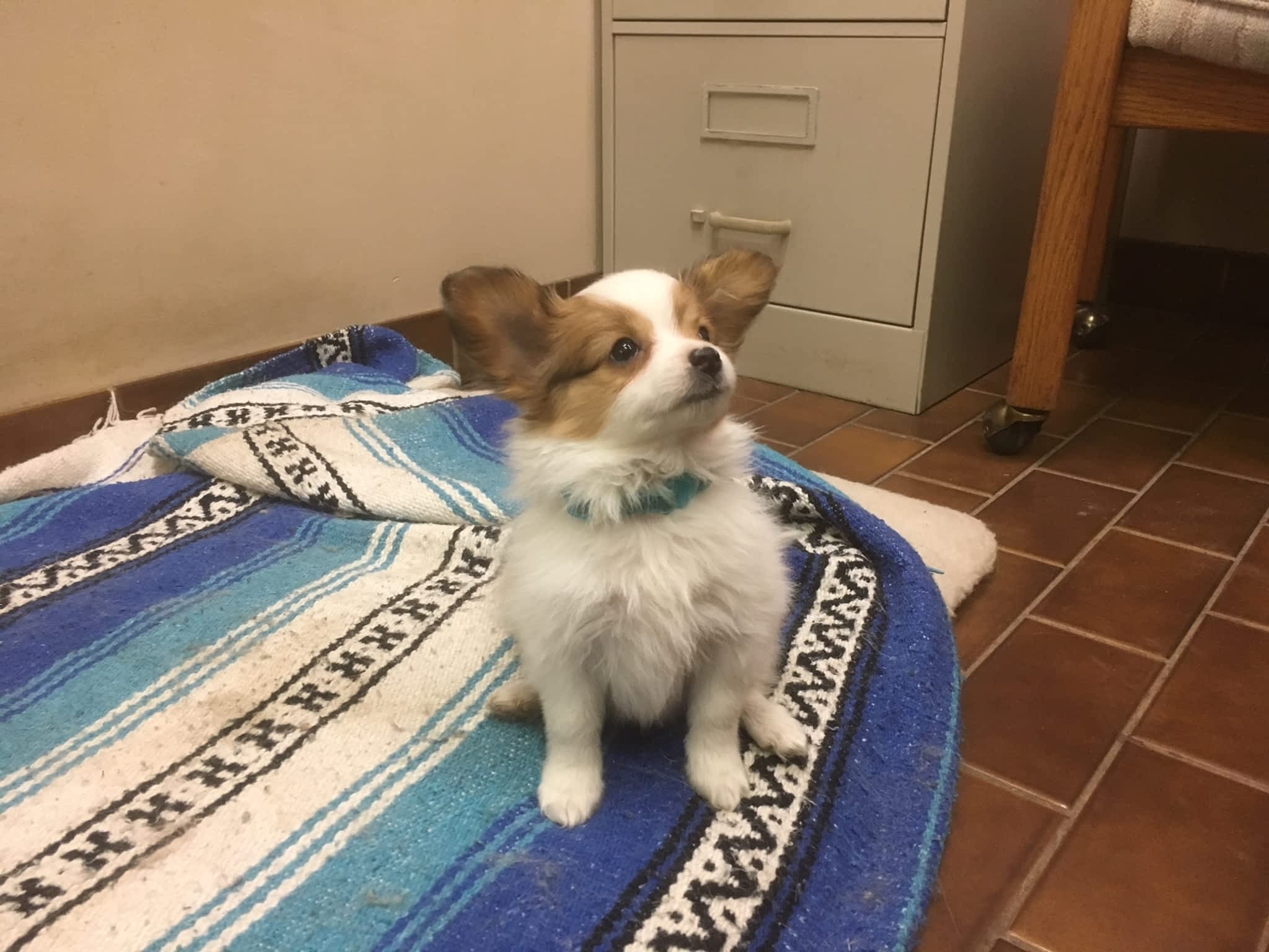 Ron Ridley Rentals Ltd Williams Lake, BC 665 Oliver St Canpages