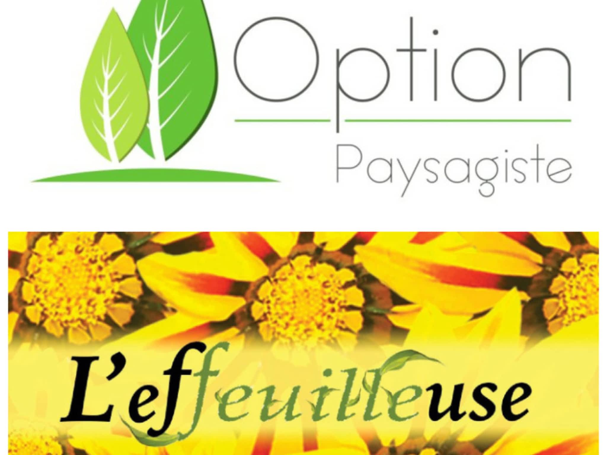 photo L'Effeuilleuse