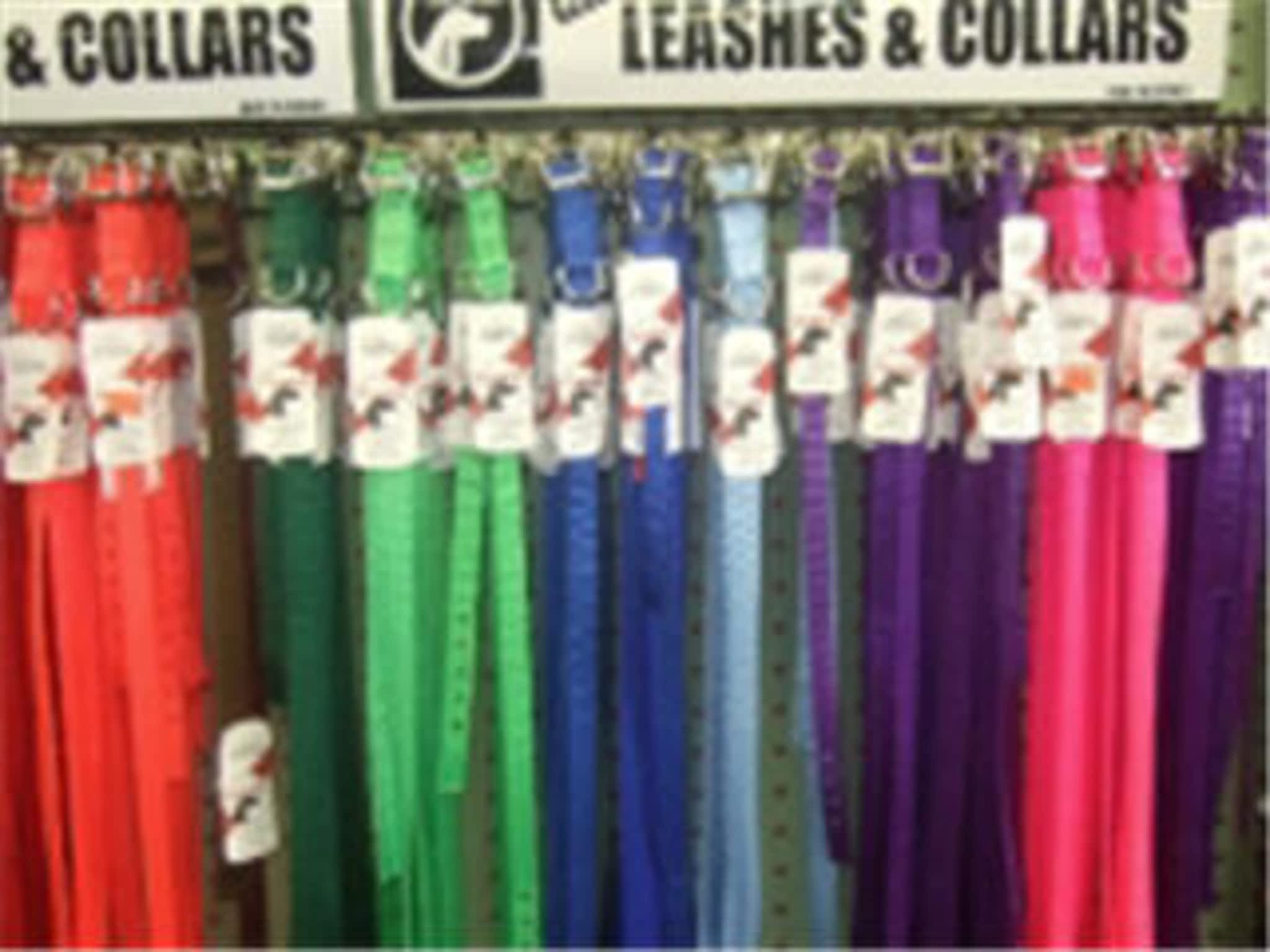 photo Animal Essentials