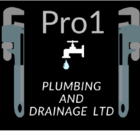 View Pro1 Plumbing and Drainage LTD’s Vancouver profile