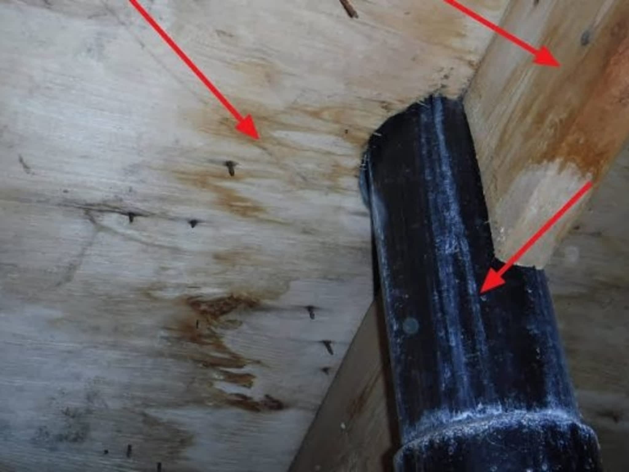 photo Inspection Bilodeau