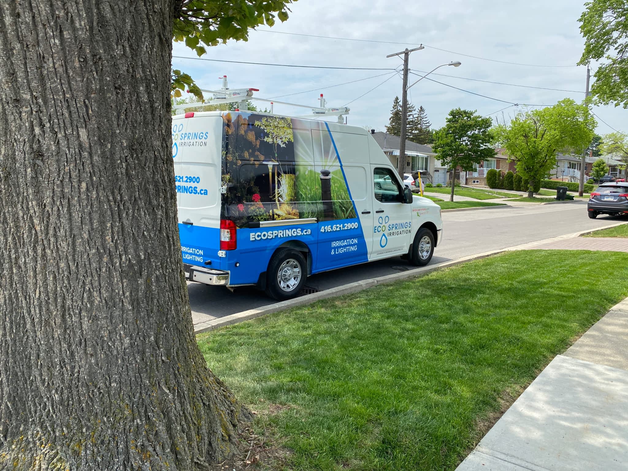 photo Natural Turf Etobicoke