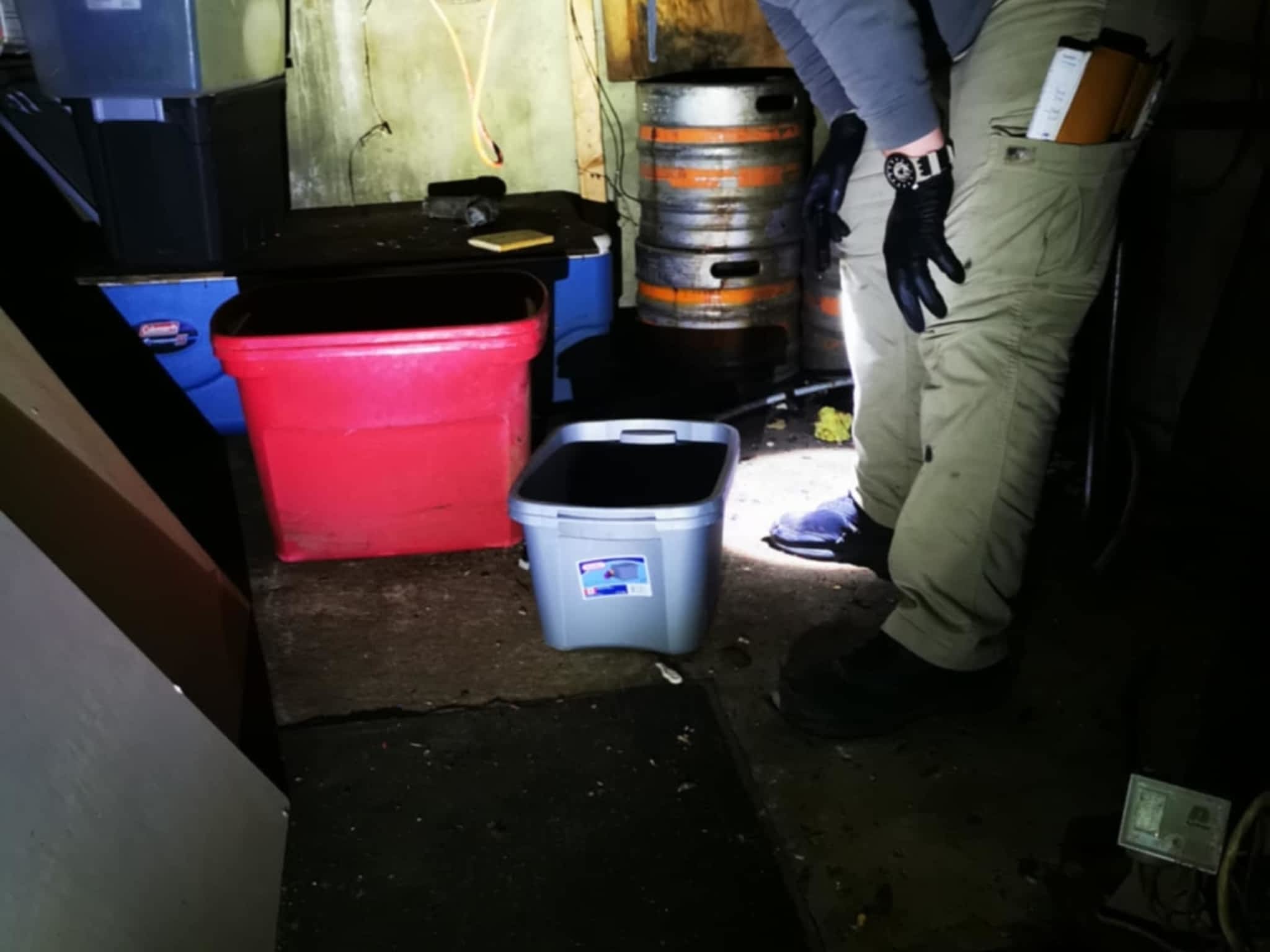 photo D Solution Extermination