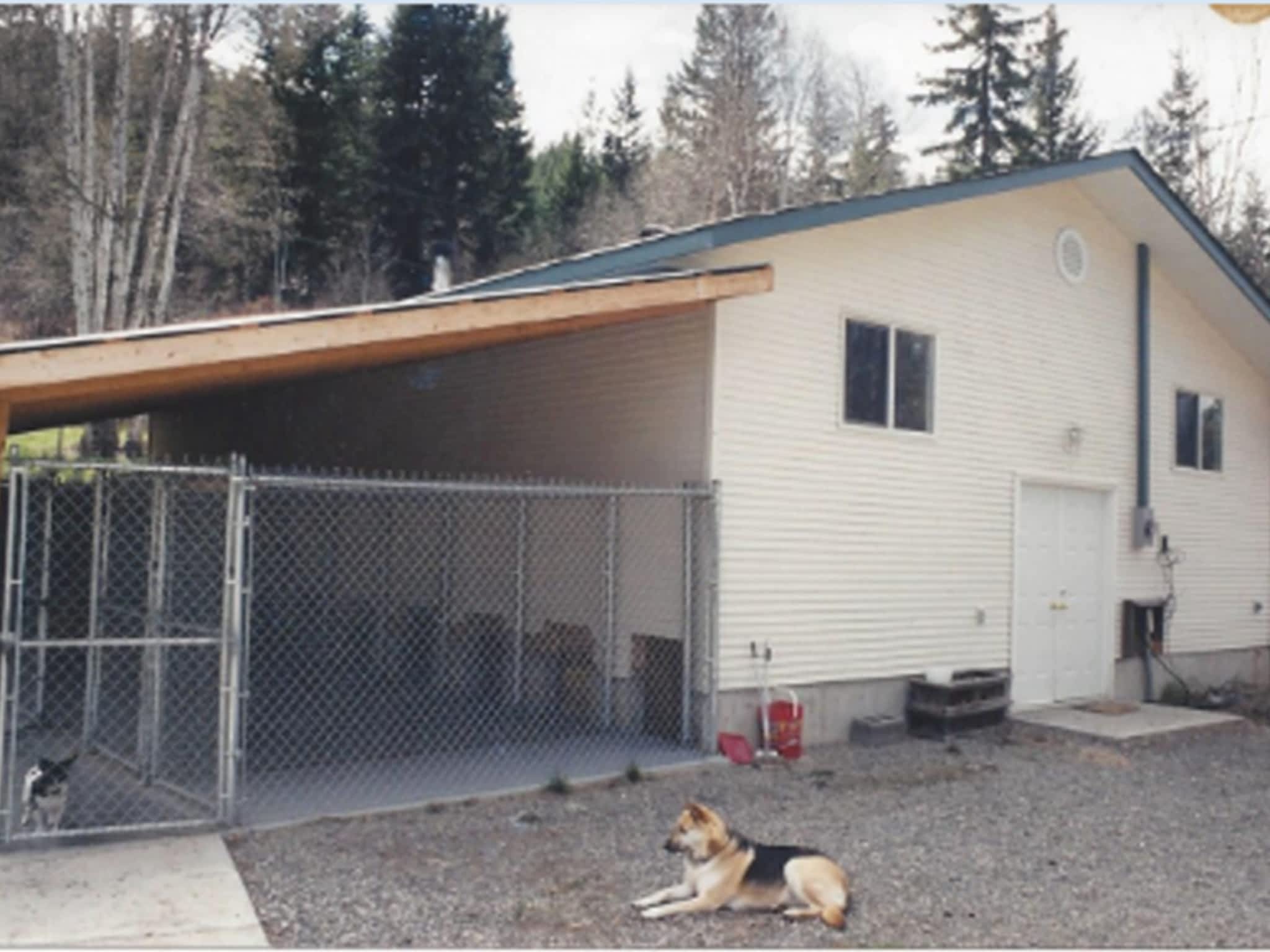 Allsgold Kennels Pinantan Lake, BC 3331 Henderson Rd RR 1 Canpages