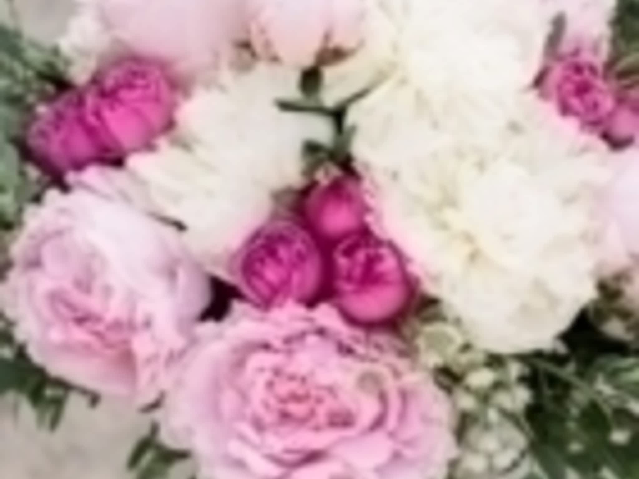 Fleuriste Ambiance Florale SaintMicheldeBellechasse, QC 1 Rte 281 Canpages