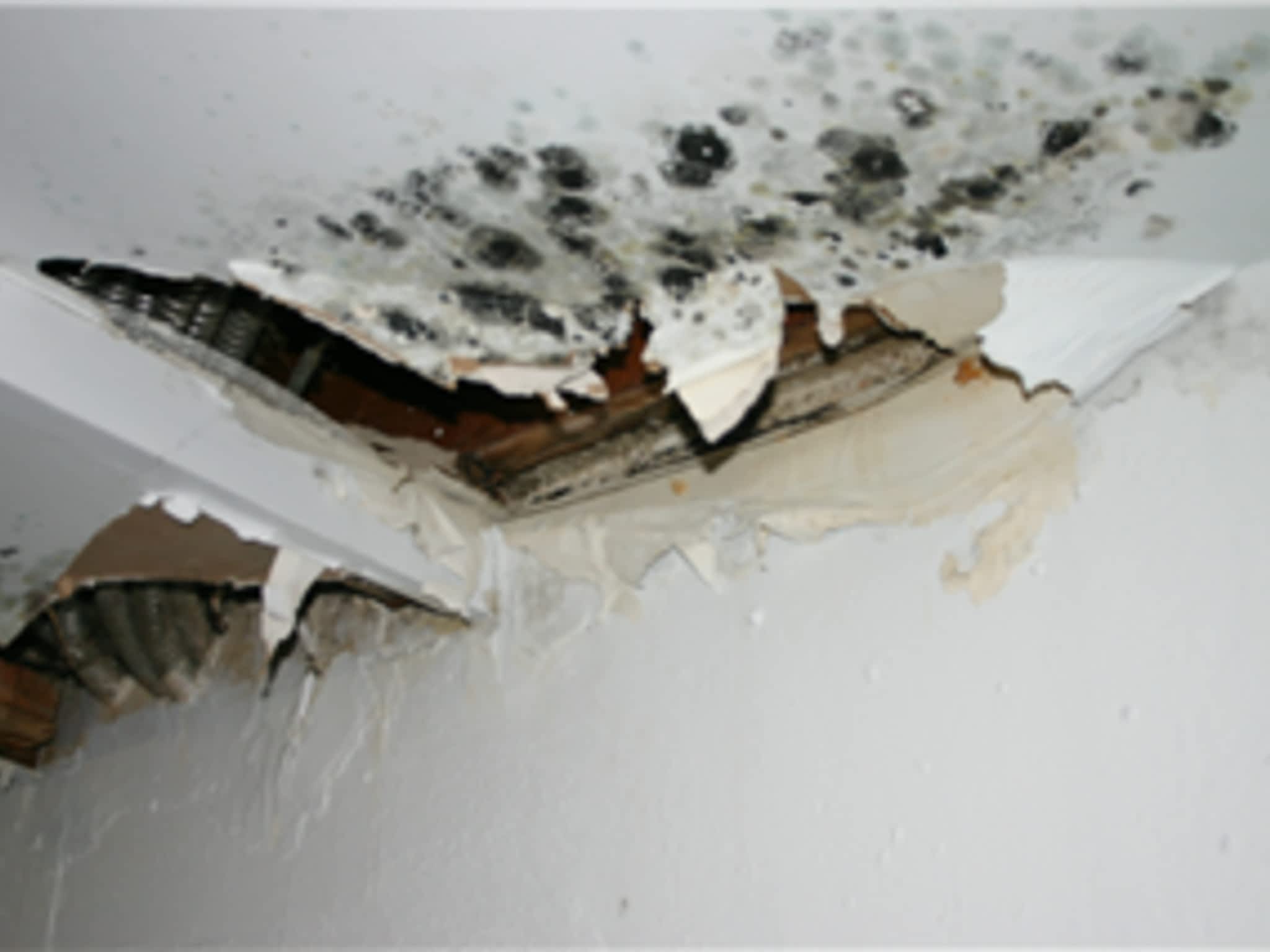 photo Inspectrum Residential Inspection